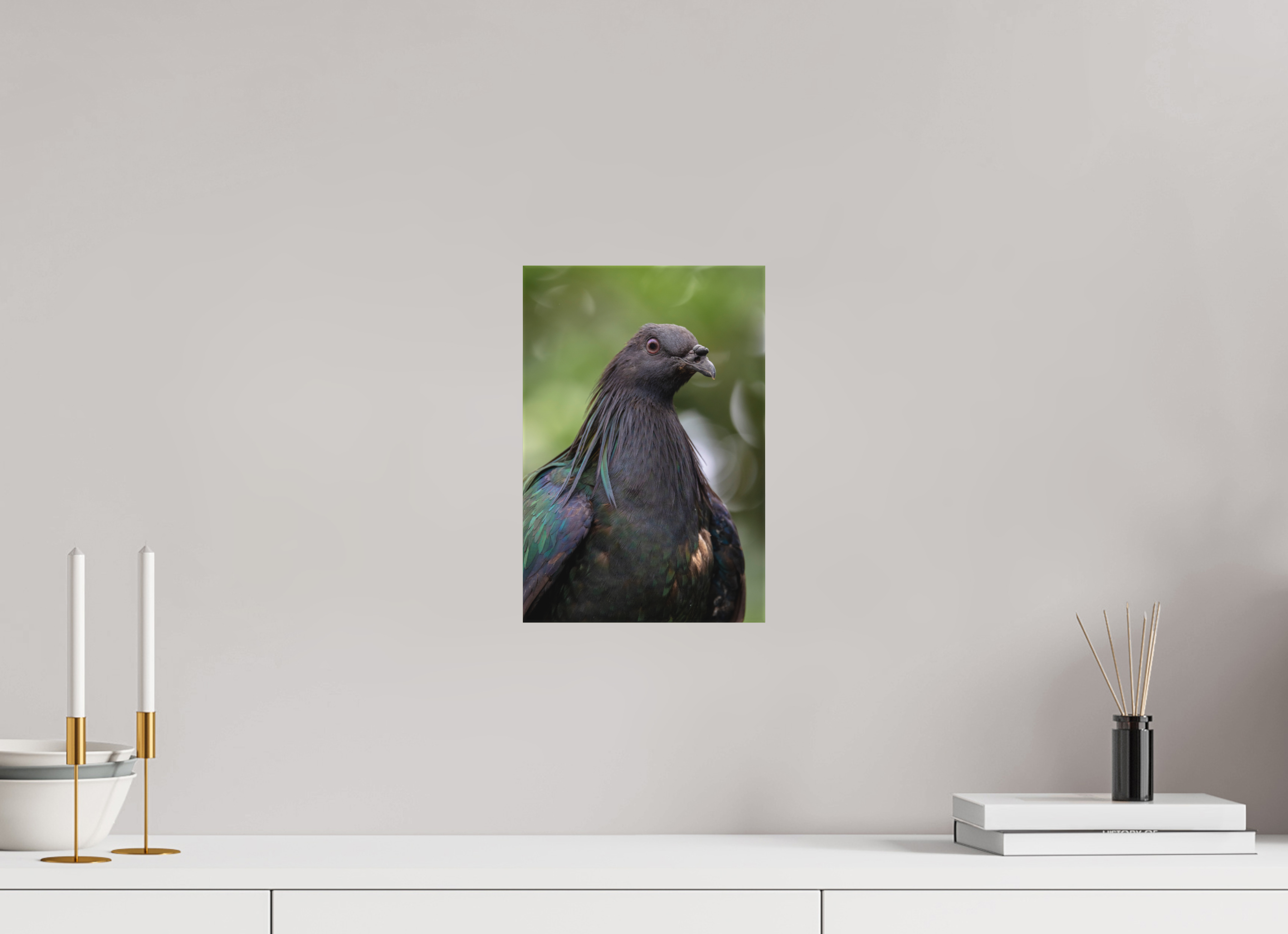 20 x 30 cm, Leinwand Midnight Collar