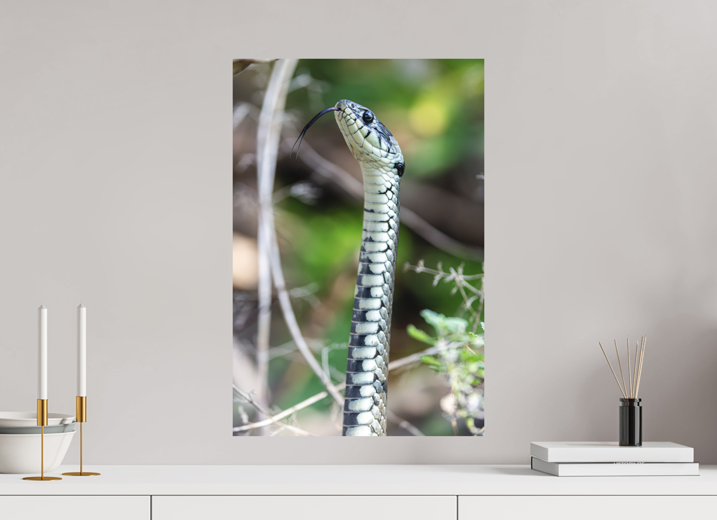 40 x 60 cm, Fine-Art Matt Forest Serpent
