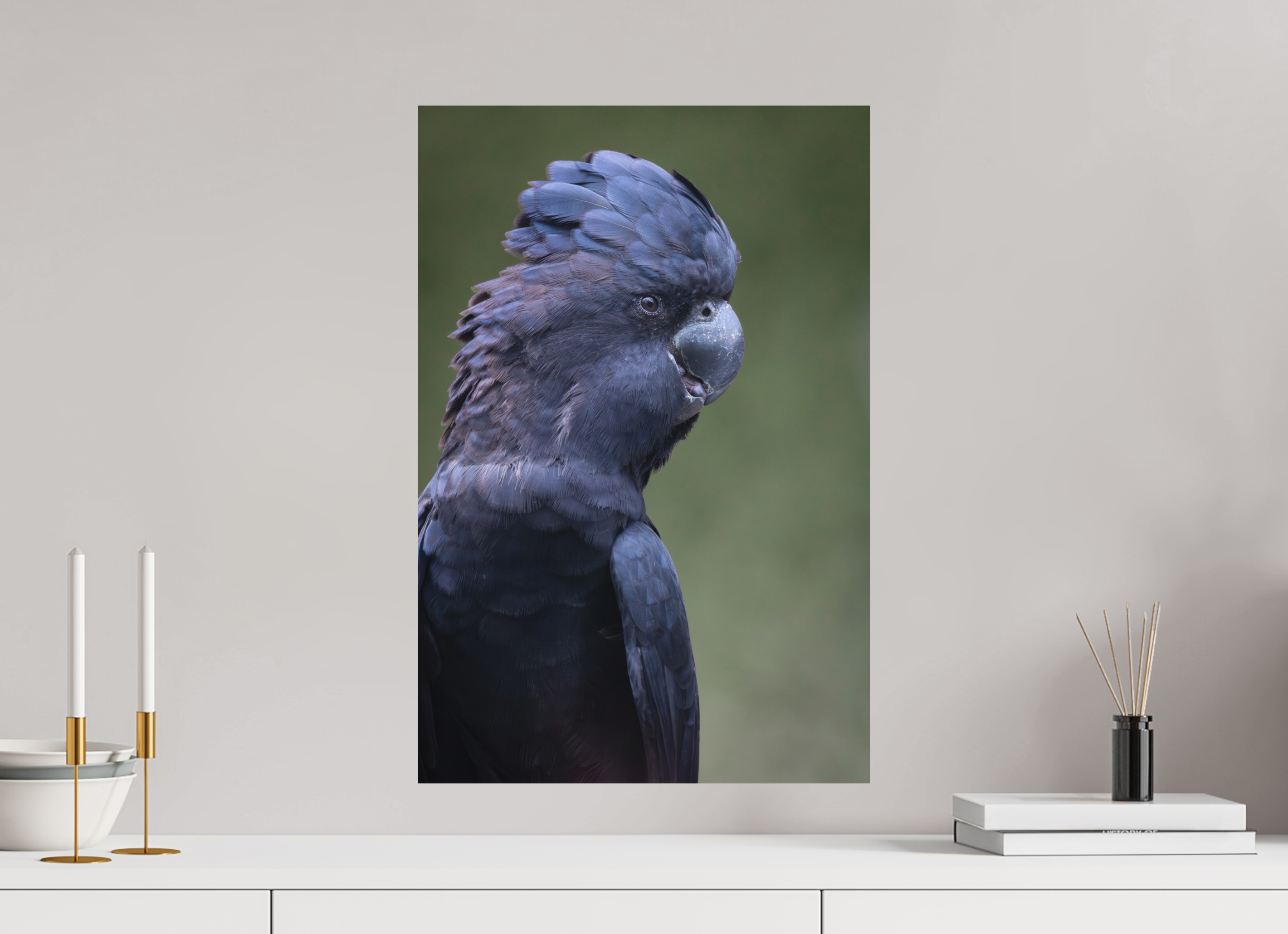 40 x 60 cm, Fine-Art Print Matt Profile of the Black Cockatoo
