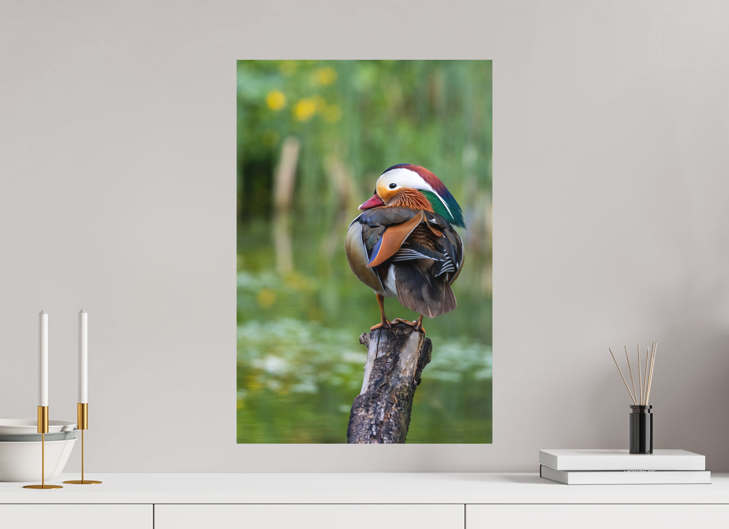 40 x 60 cm, Fine-Art Print Matt Perched Beauty
