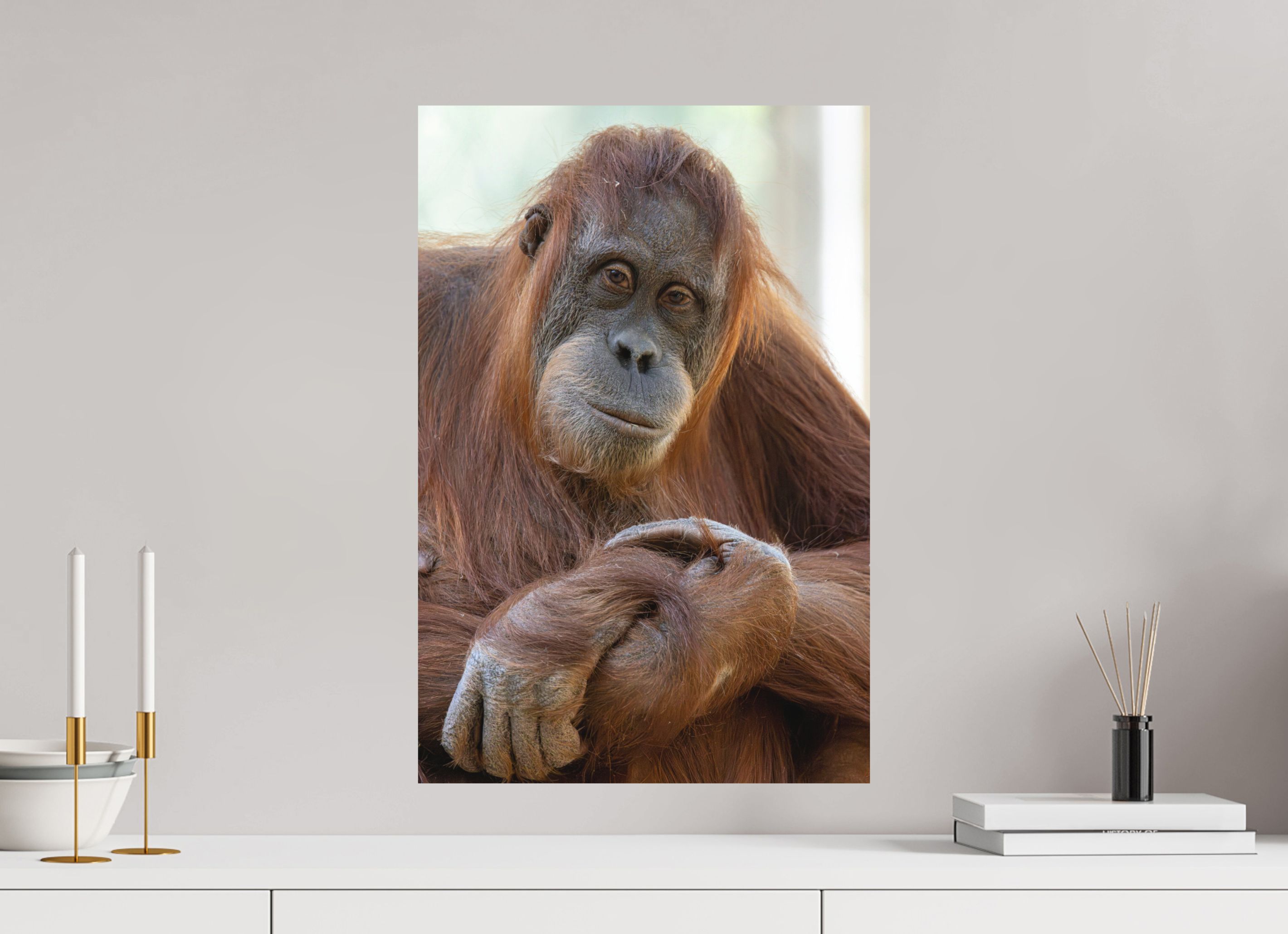 40 x 60 cm, Fine-Art Print Matt Soulful Gaze