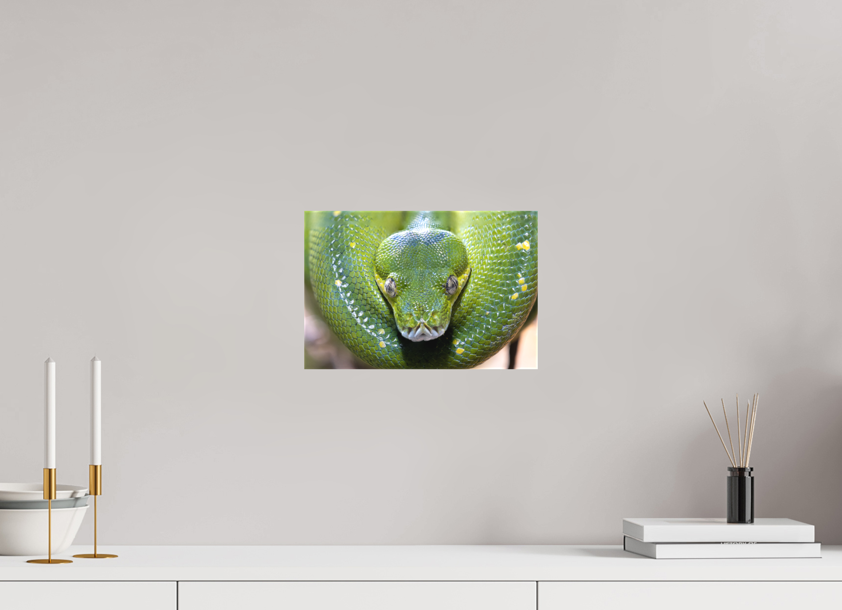 30 x 20 cm, Leinwand Primal Eye