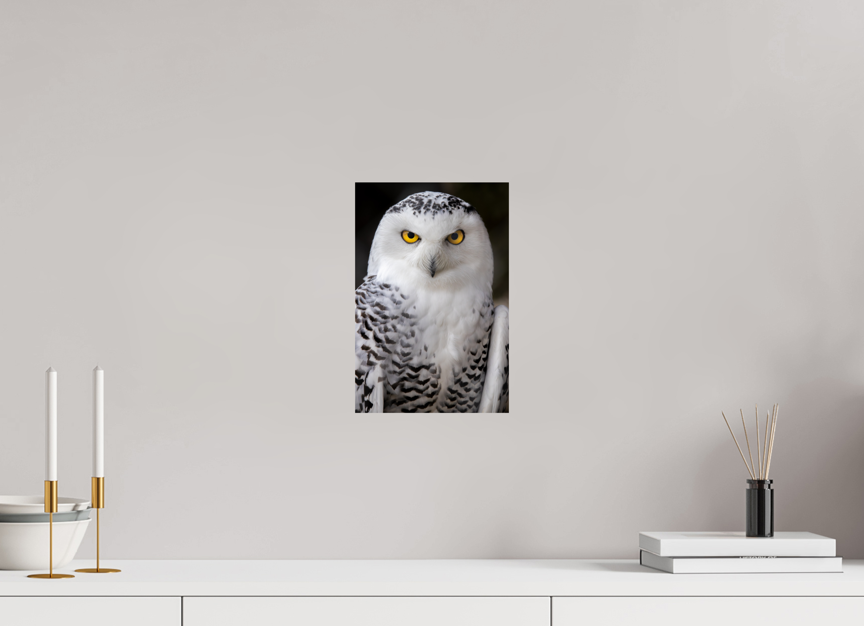 20 x 30 cm, Fine Art Print auf Alu-Dibond Arctic Stare