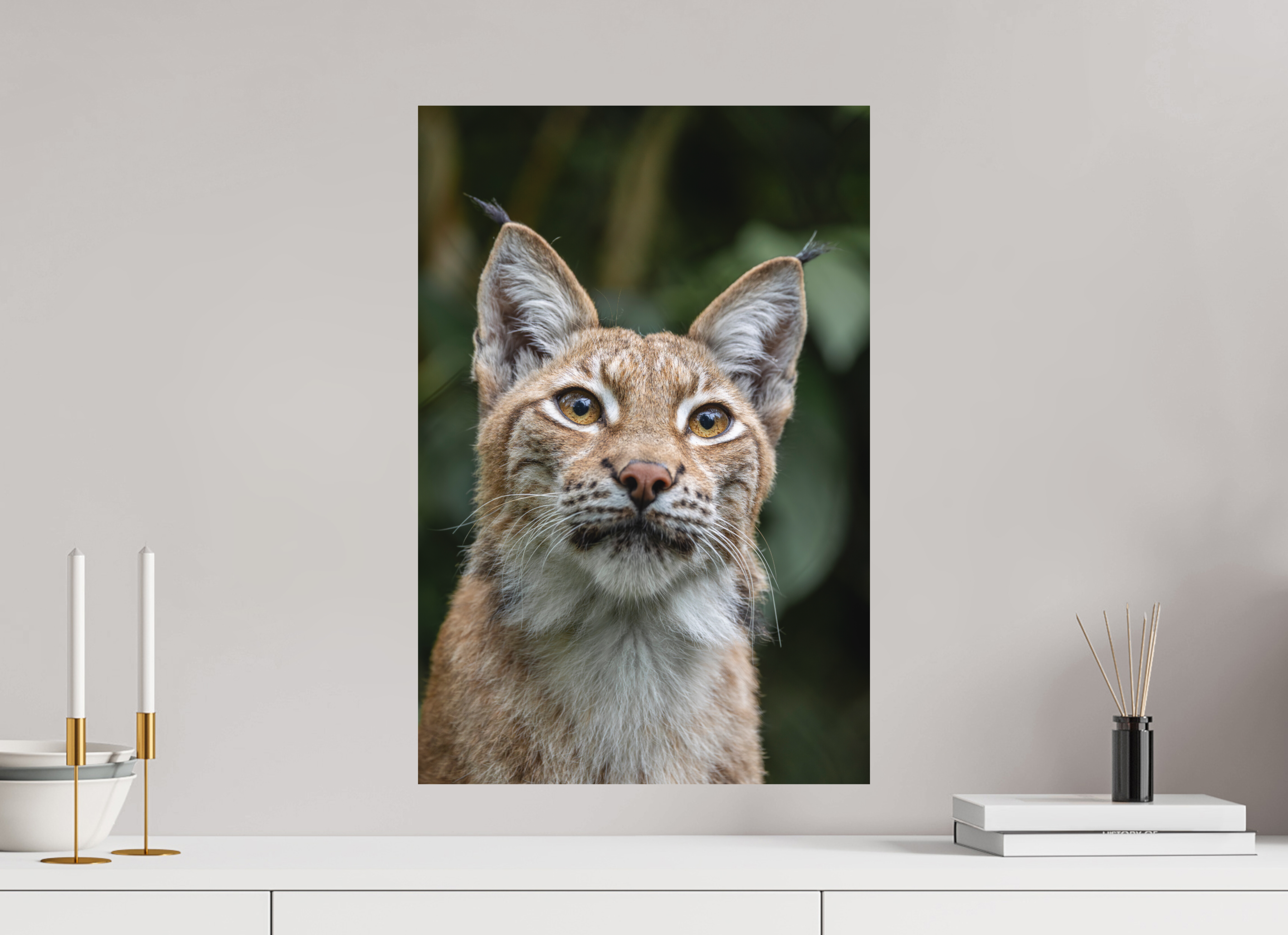 40 x 60 cm, Fine-Art Print Matt Forest Eyes