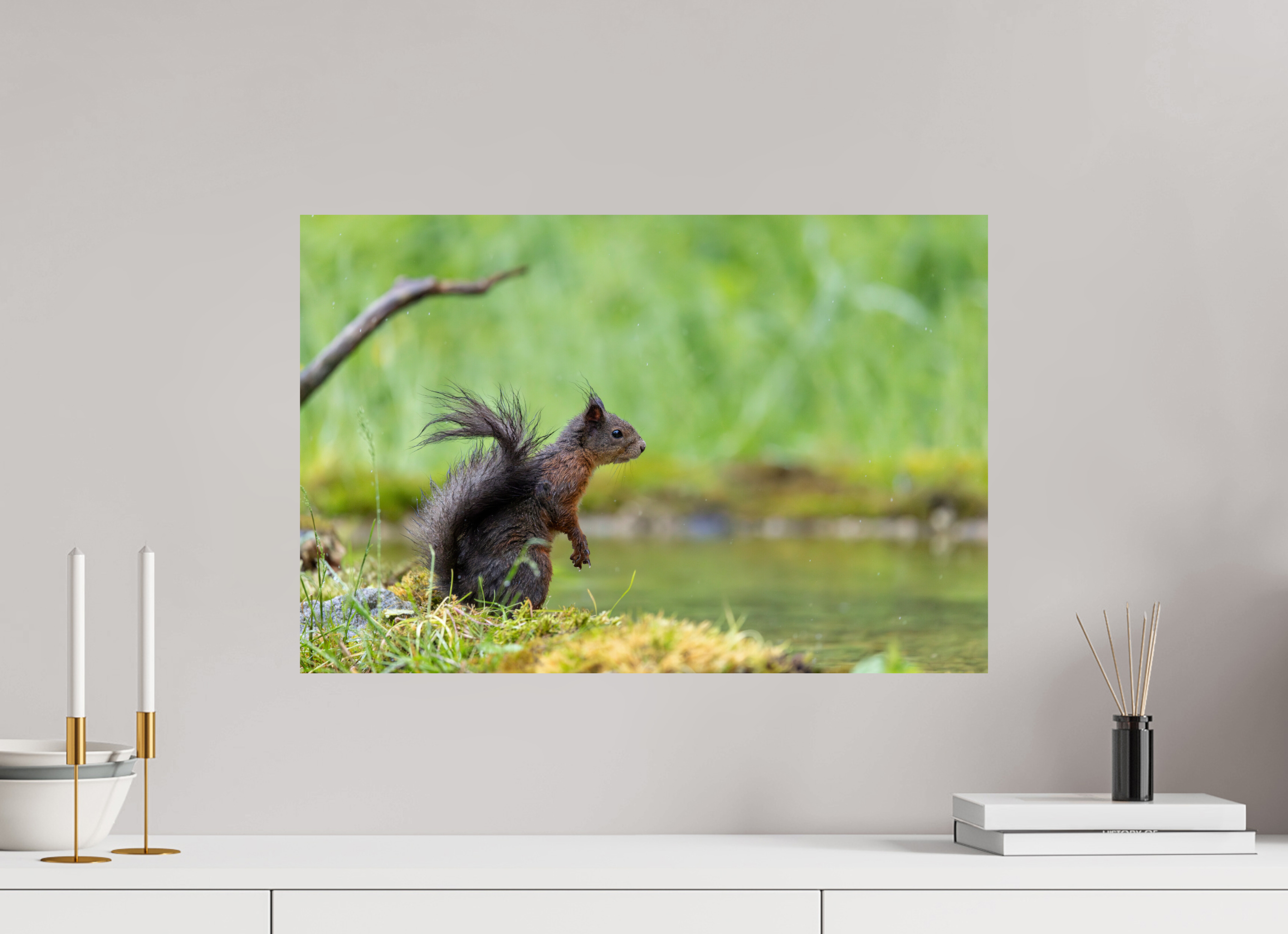 60 x 40 cm, Fine Art Print auf Alu-Dibond Wet & Wild