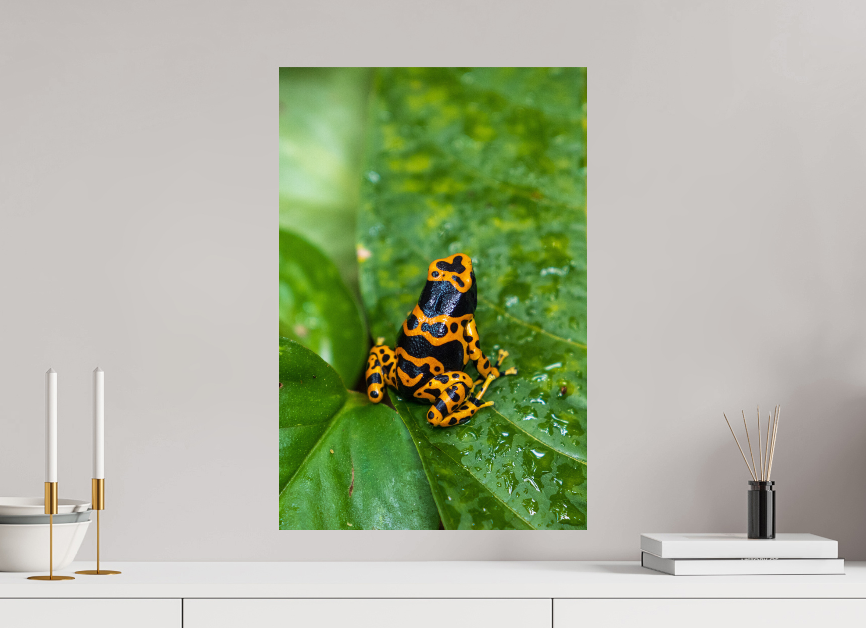 40 x 60 cm, Fine Art Print auf Alu-Dibond Tropical Contrast