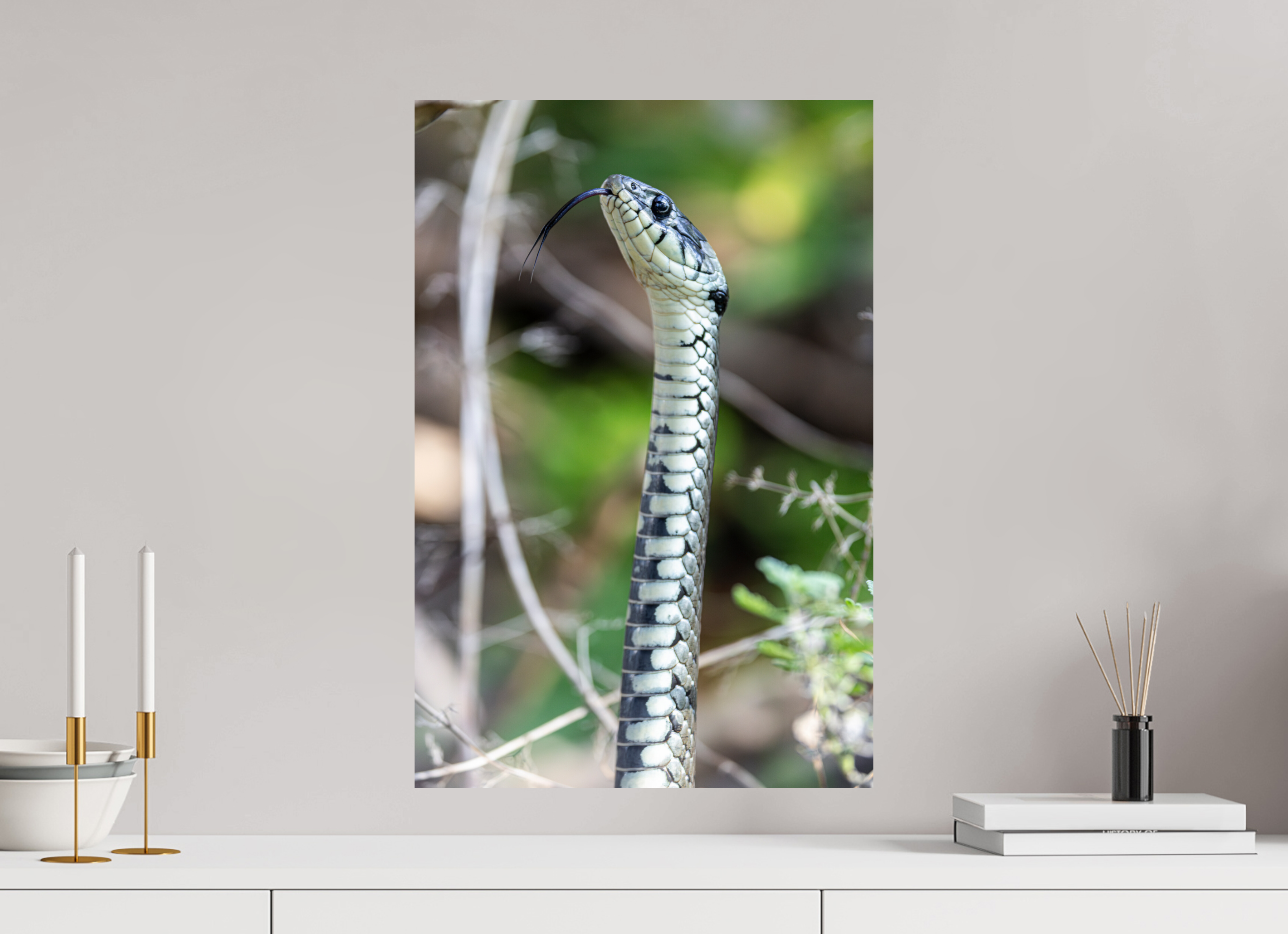 40 x 60 cm, Fine Art Print auf Alu-Dibond Forest Serpent