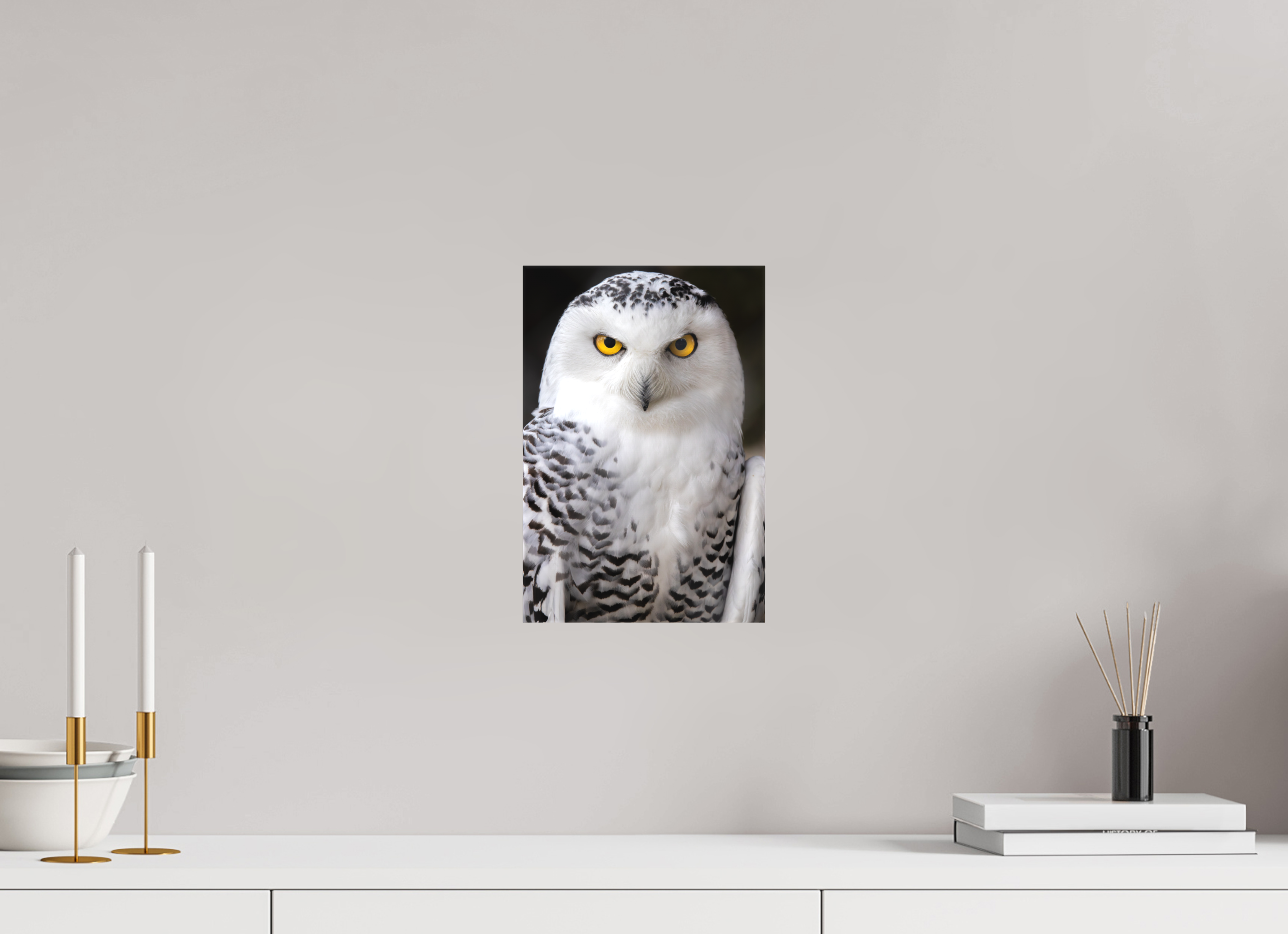 20 x 30 cm, Leinwand Arctic Stare