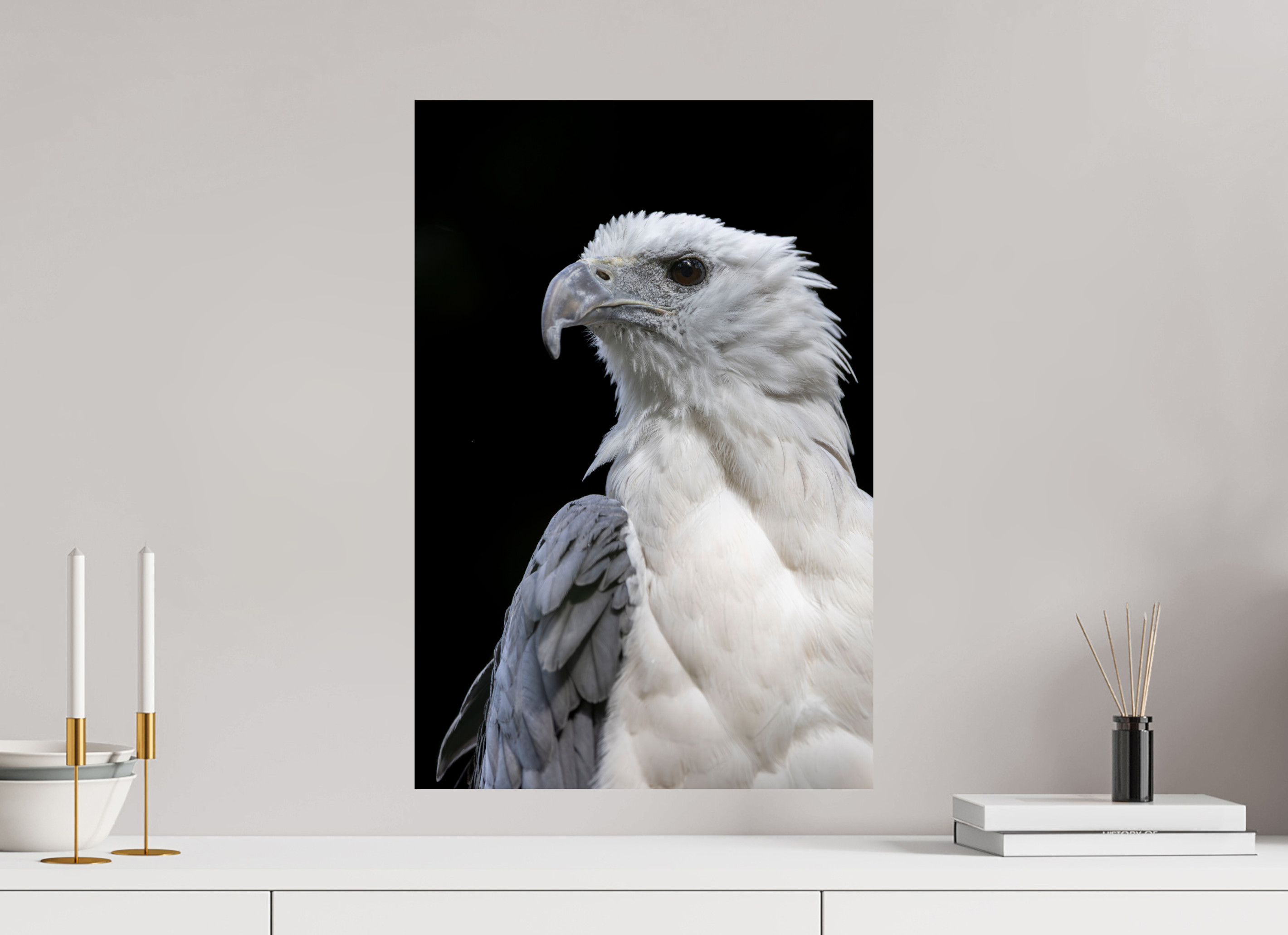 40 x 60 cm, Fine Art Print auf Alu-Dibond Sovereign Silence