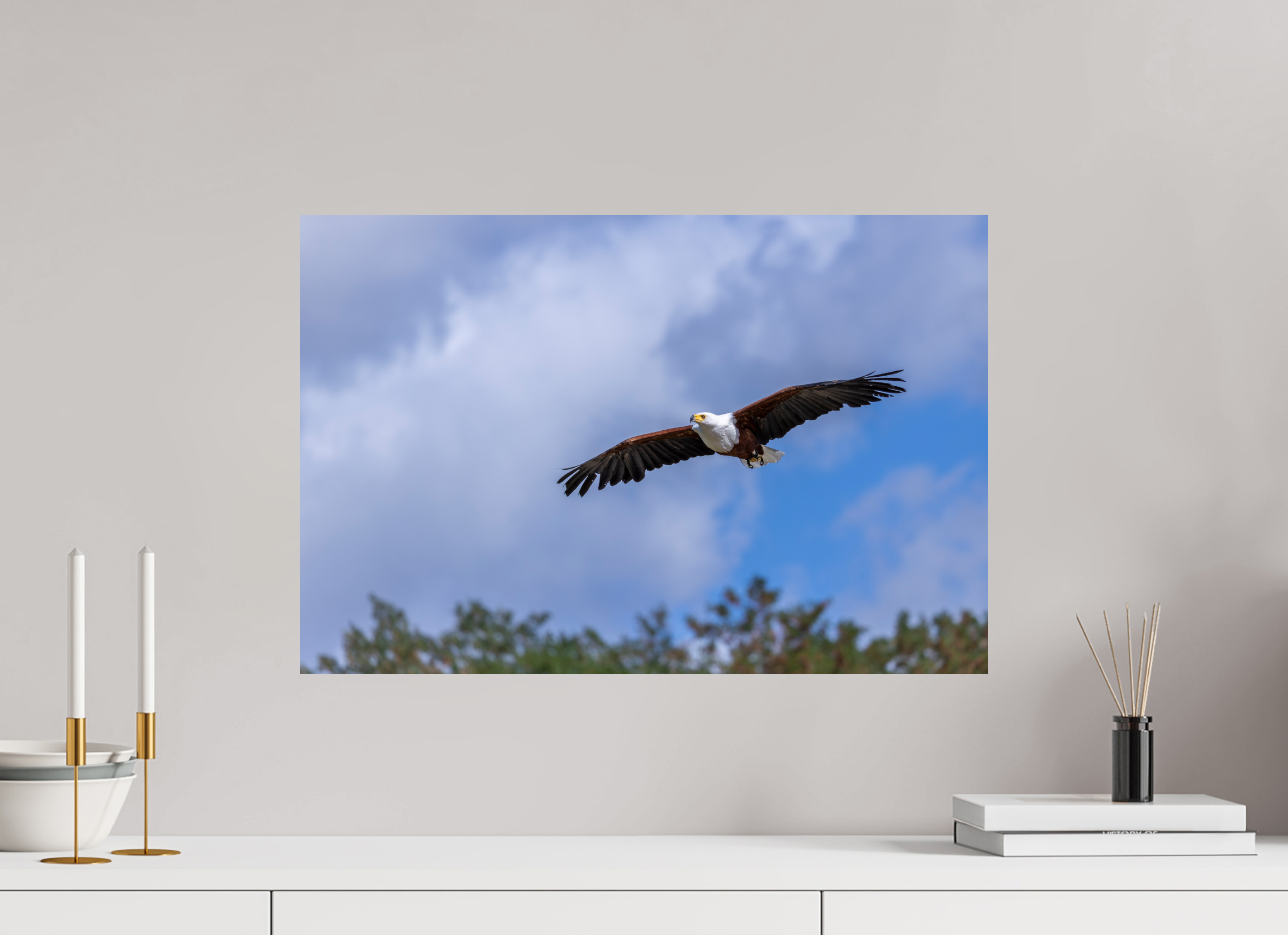 60 x 40 cm, Fine Art Print auf Alu-Dibond Wings of Africa