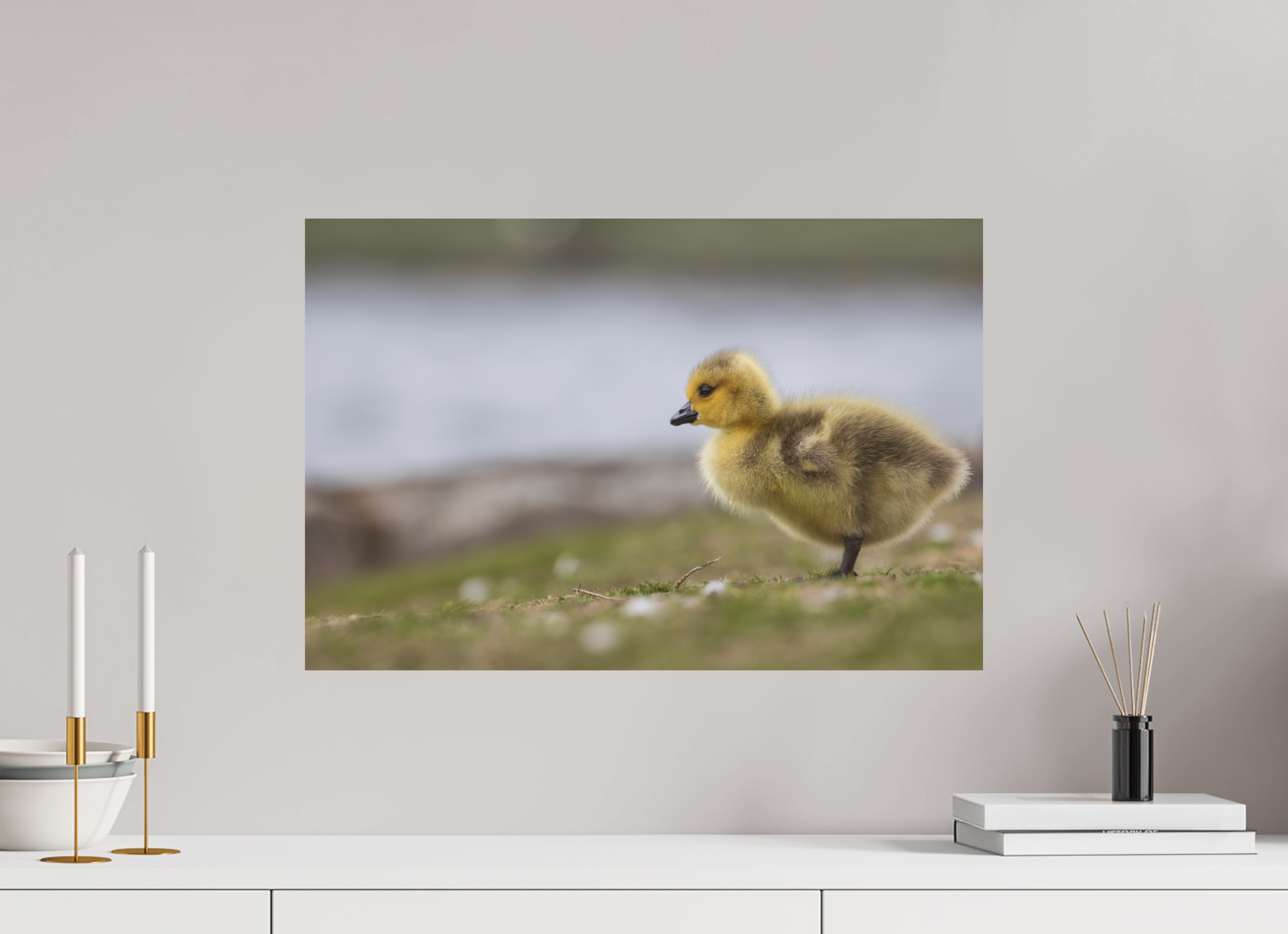 60 x 40 cm, Fine-Art Matt Golden Fluff