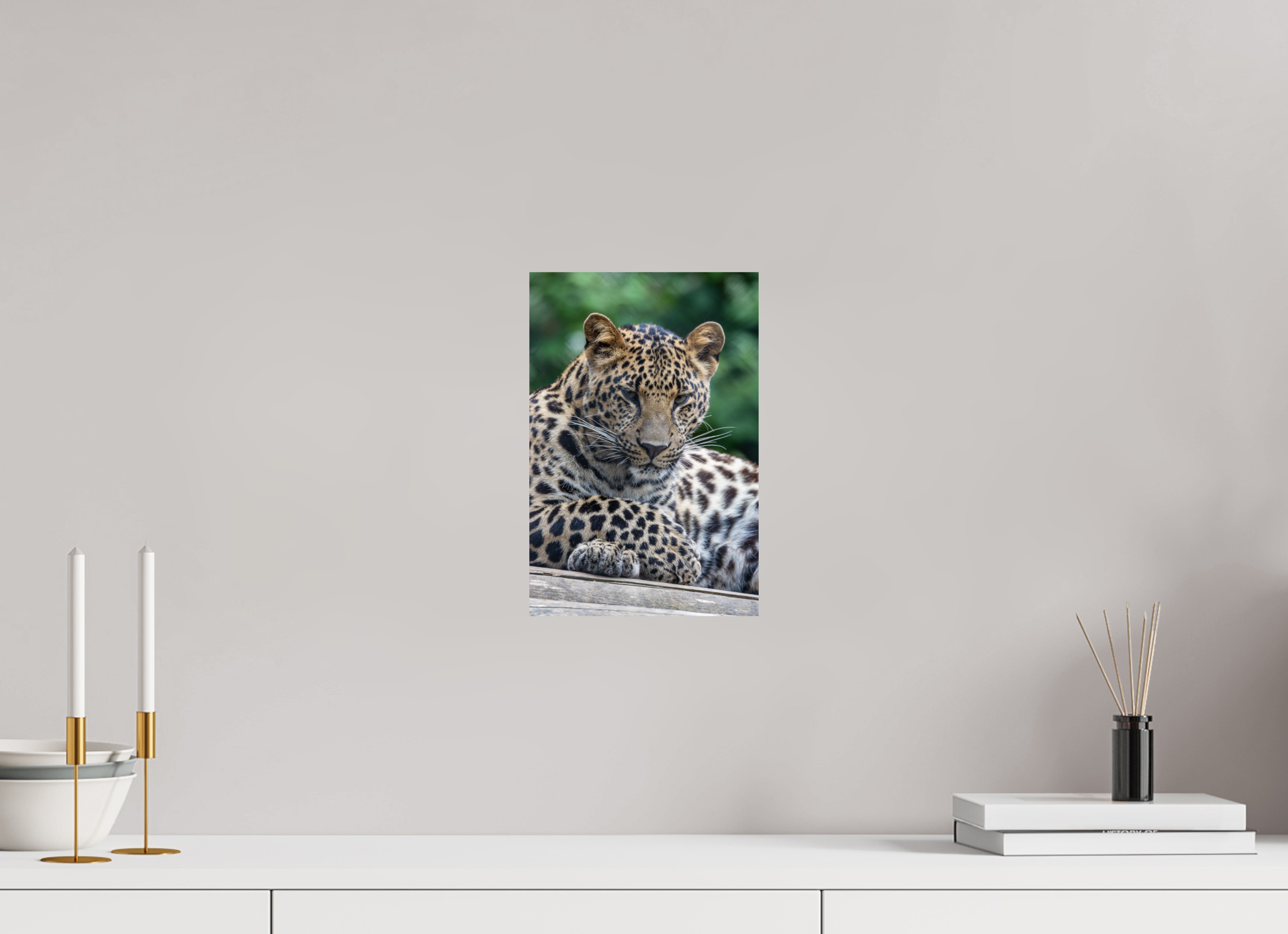20 x 30 cm, Fine Art Print auf Alu-Dibond Silent Majesty