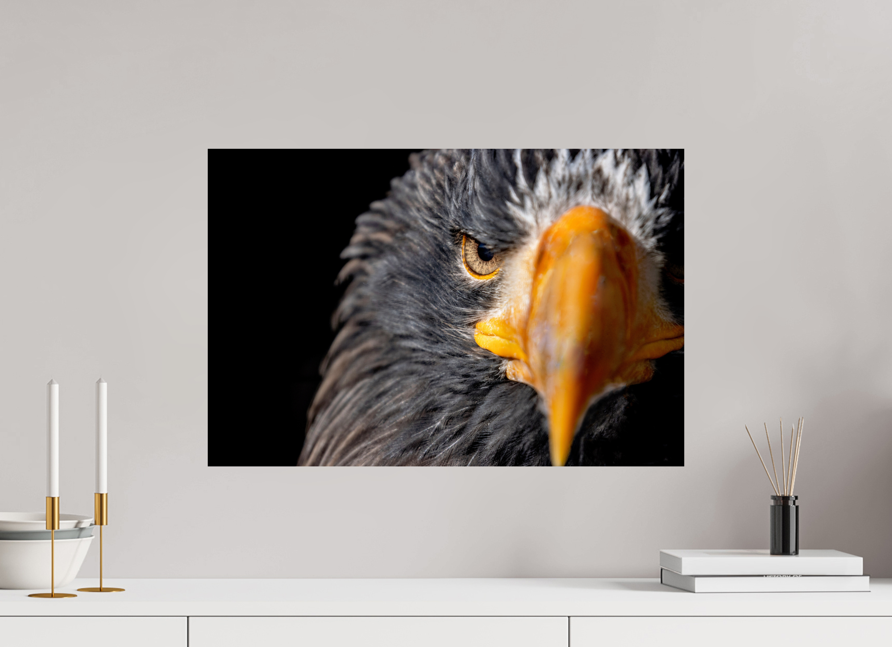 60 x 40 cm, Fine Art Print auf Alu-Dibond Piercing Gaze