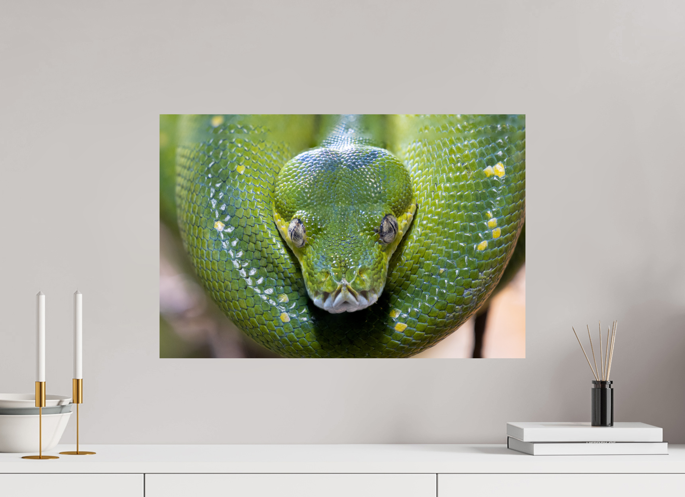 60 x 40 cm, Fine Art Print auf Alu-Dibond Primal Eye