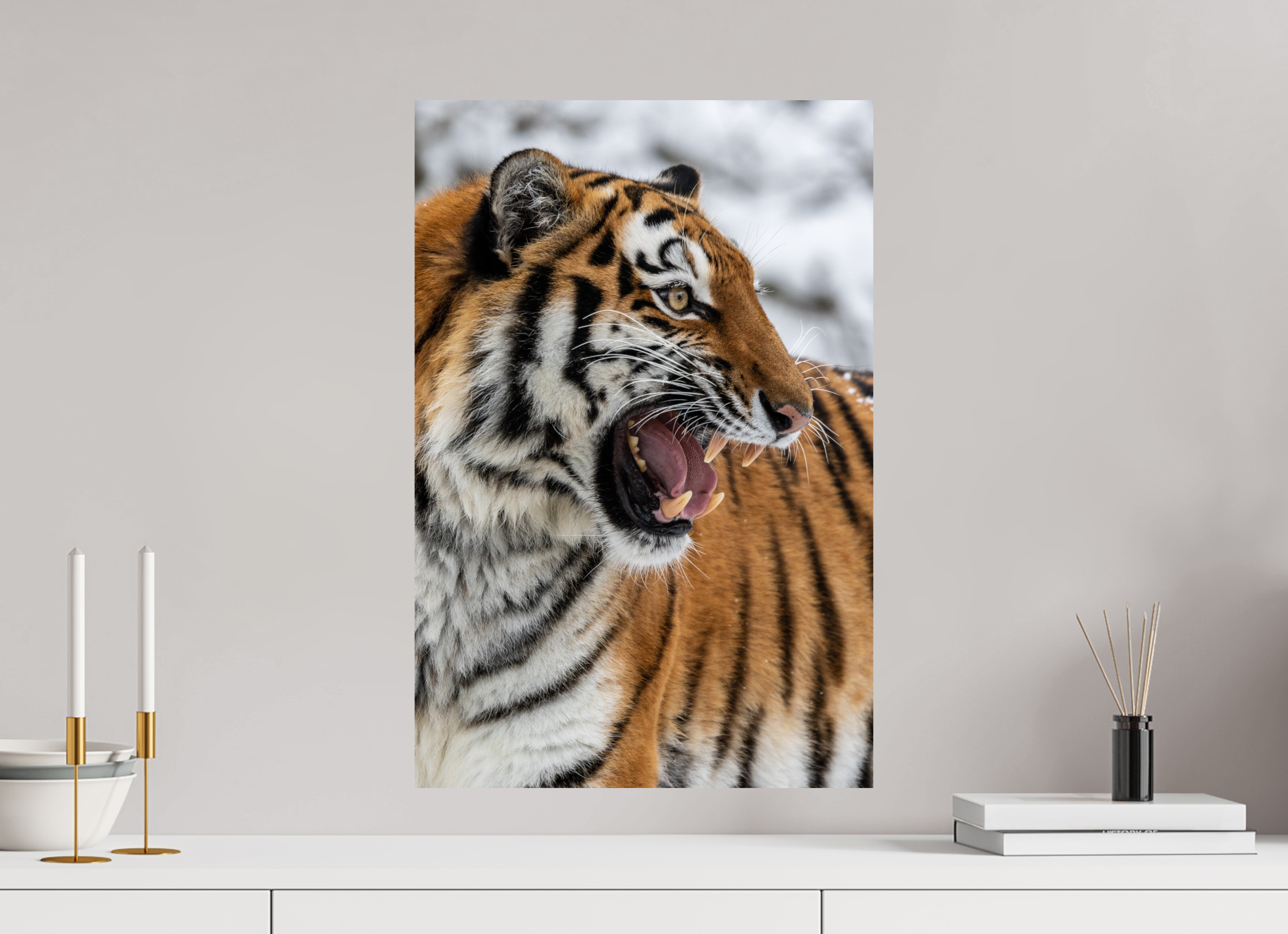 40 x 60 cm, Fine Art Print auf Alu-Dibond Fierce Presence