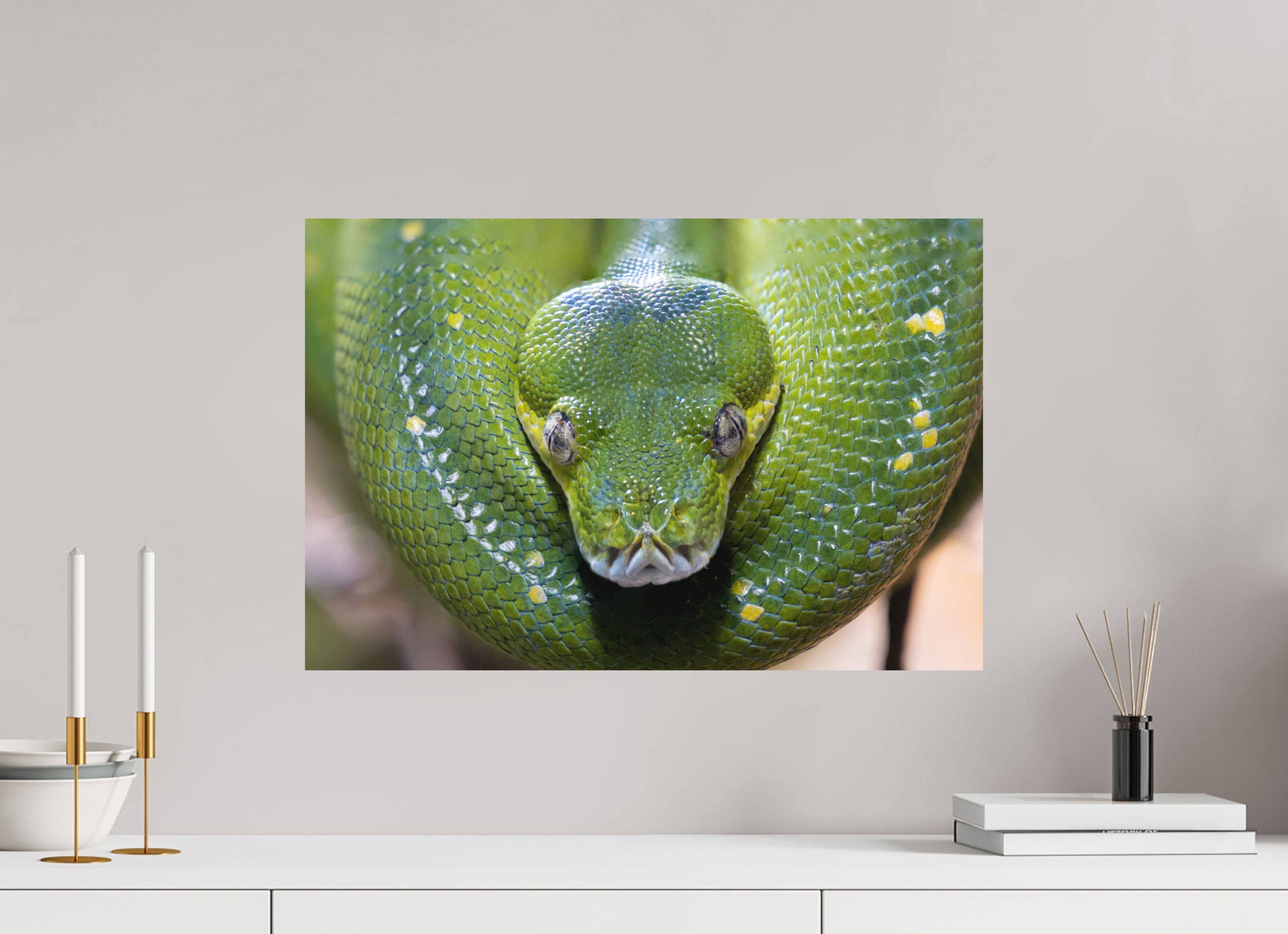 60 x 40 cm, Fine-Art Print Matt Primal Eye