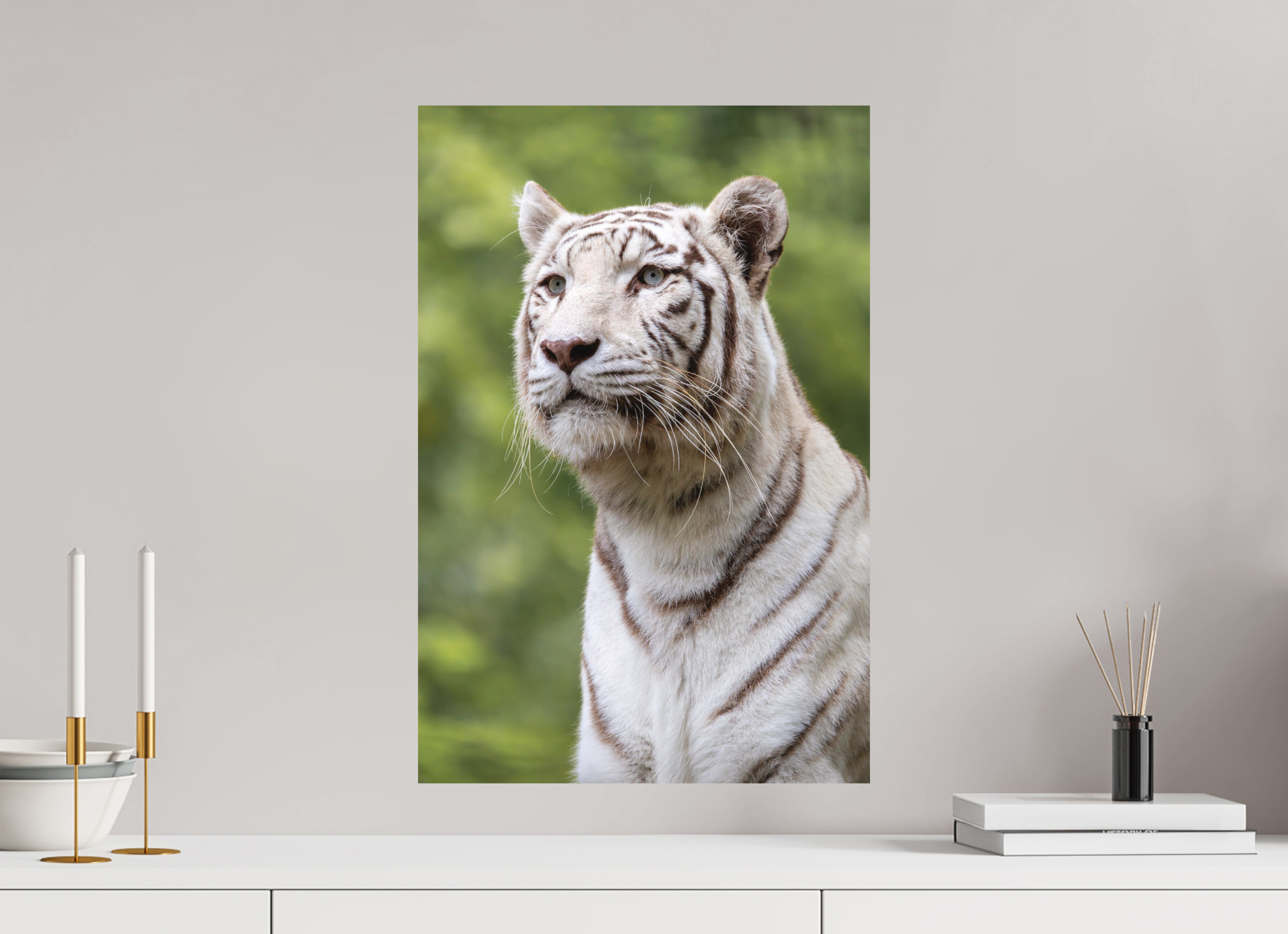 40 x 60 cm, Fine-Art Print Matt Gaze of the White King