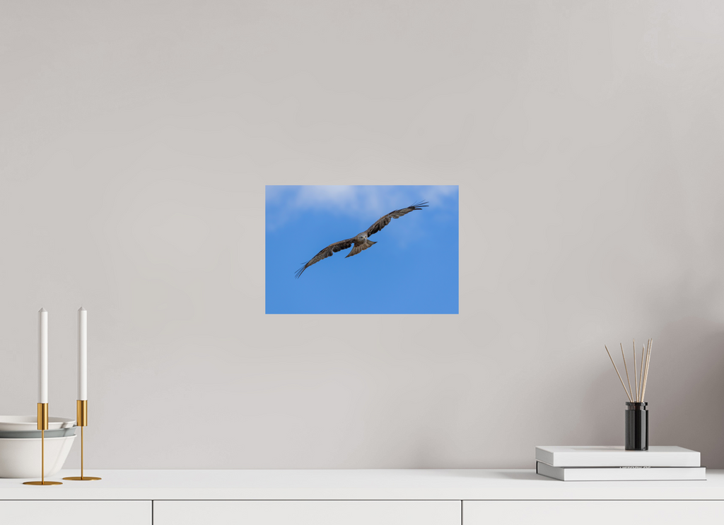 30 x 20 cm, Fine Art Print auf Alu-Dibond Hunter of the Breeze