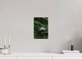 20 x 30 cm, Fine-Art Print Matt Electric Peek