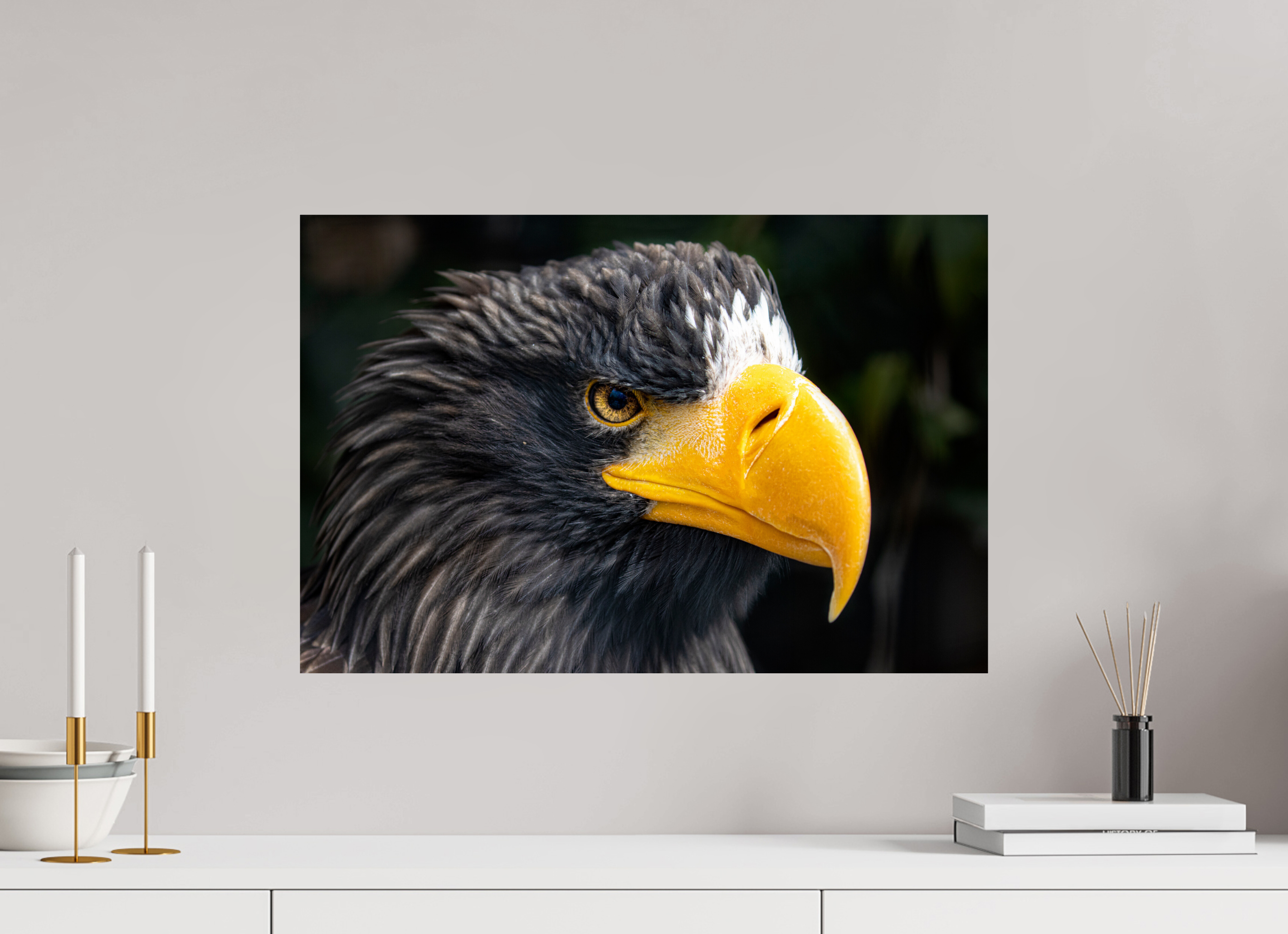 60 x 40 cm, Fine Art Print auf Alu-Dibond Imperial Gaze