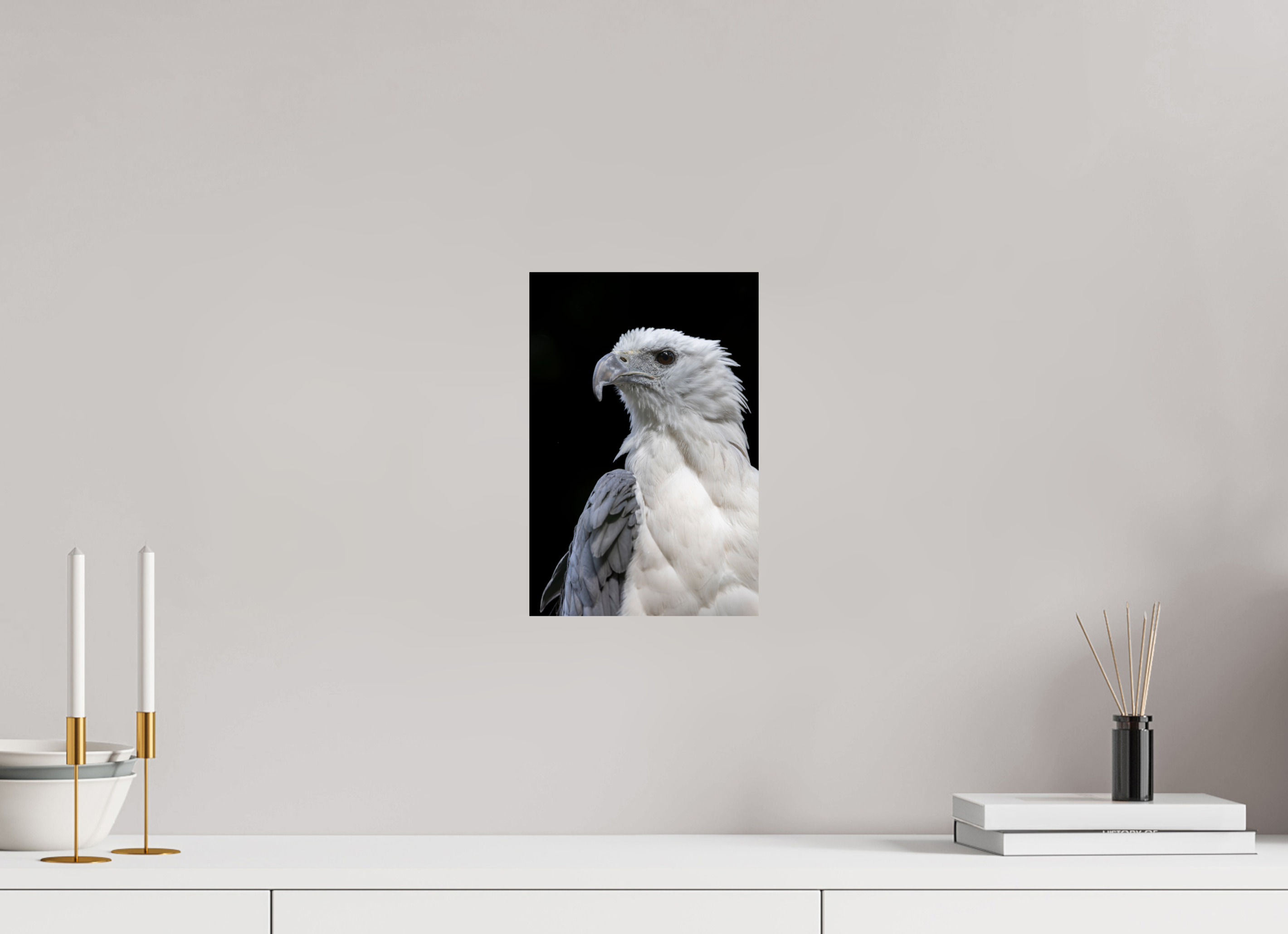 20 x 30 cm, Fine Art Print auf Alu-Dibond Sovereign Silence