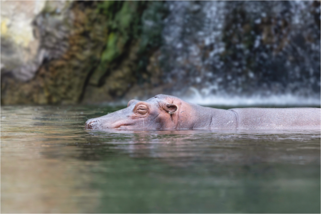 Main image Peaceful Slumber