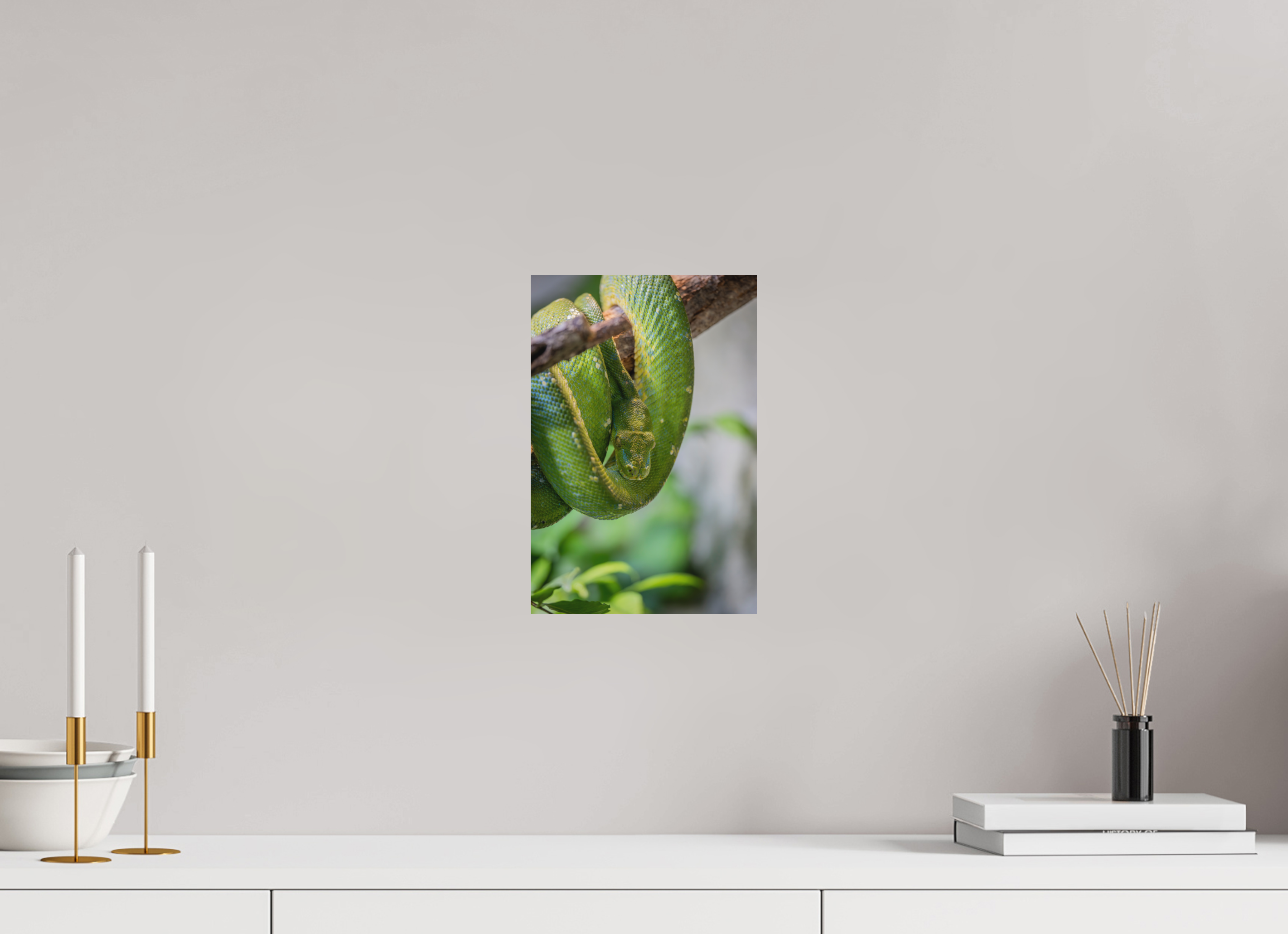 20 x 30 cm, Fine-Art Print Matt Coiled in Green