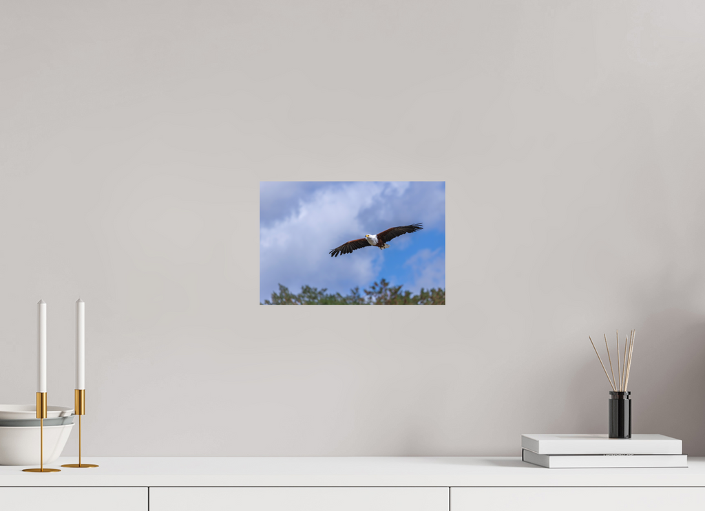 30 x 20 cm, Fine-Art Print Matt Wings of Africa
