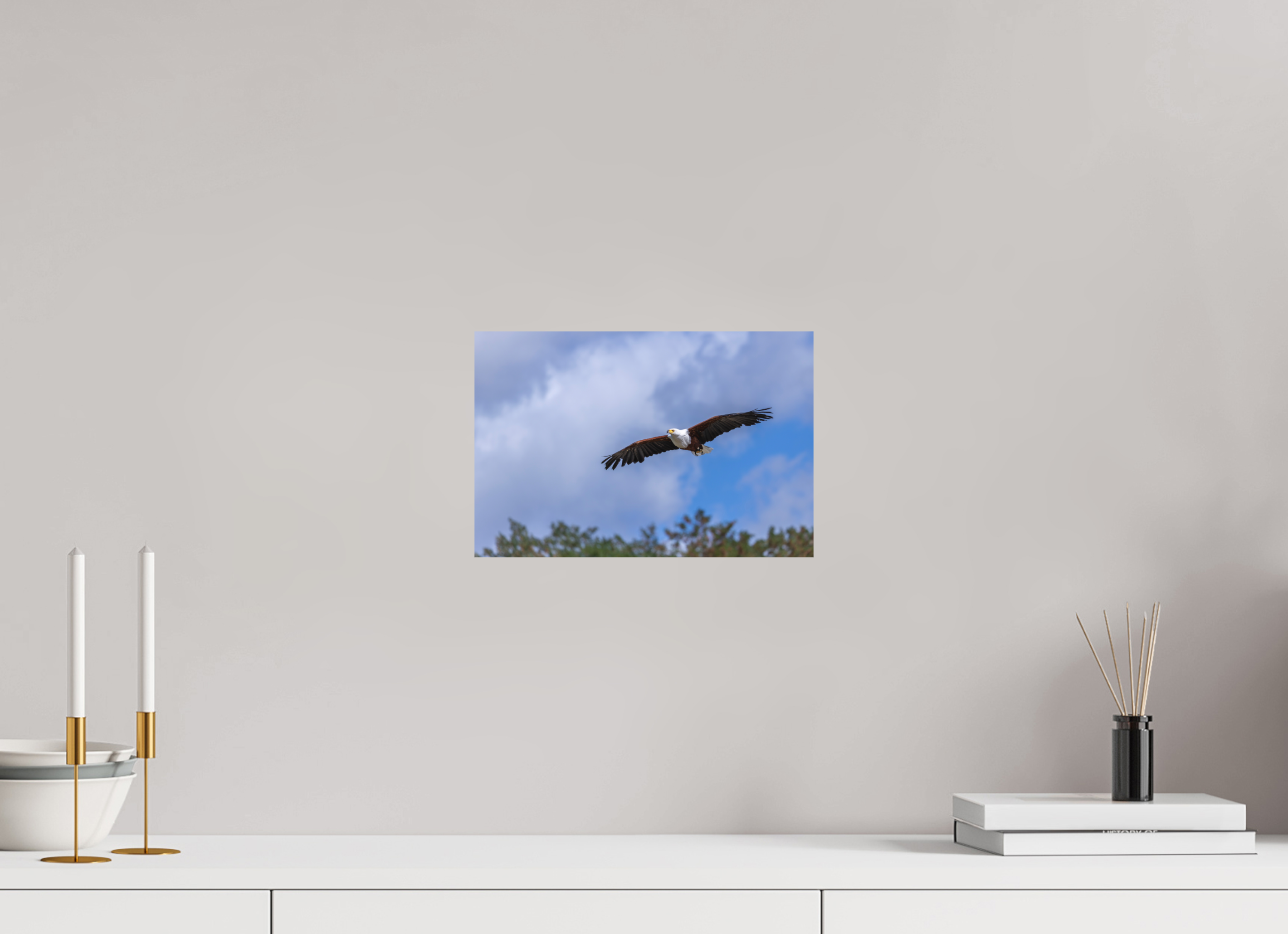 30 x 20 cm, Fine-Art Print Matt Wings of Africa