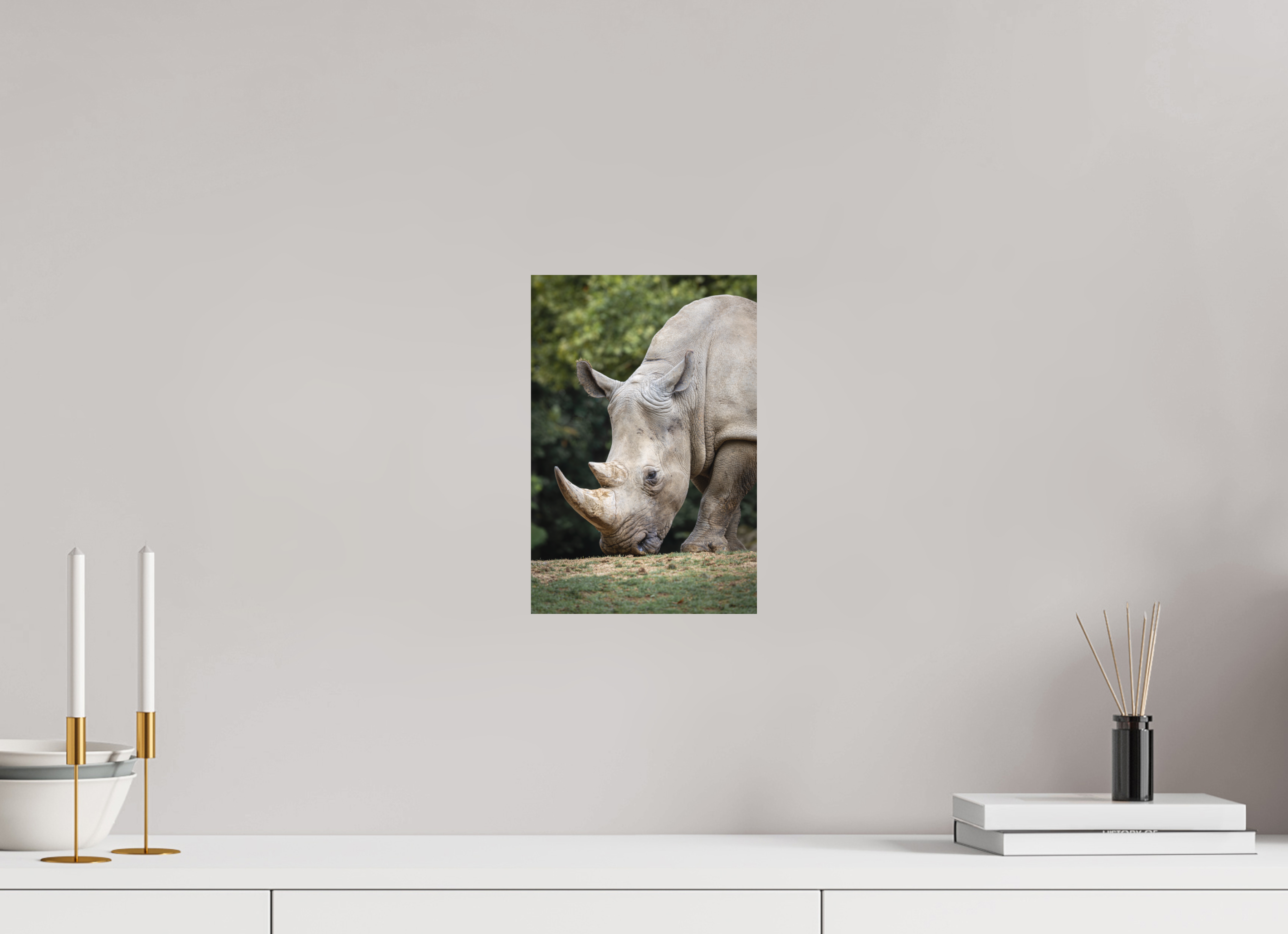 20 x 30 cm, Fine-Art Print Matt Gentle Grazer