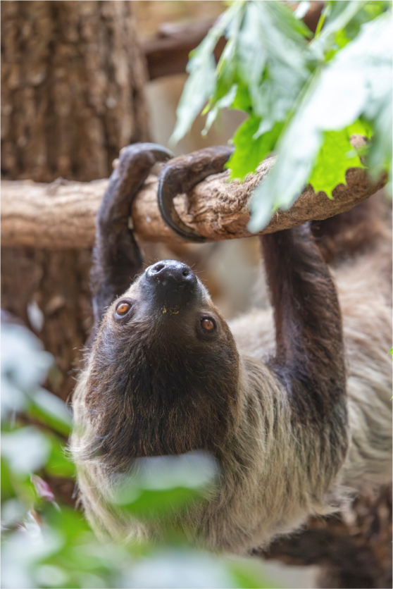 Main image Hanging Around