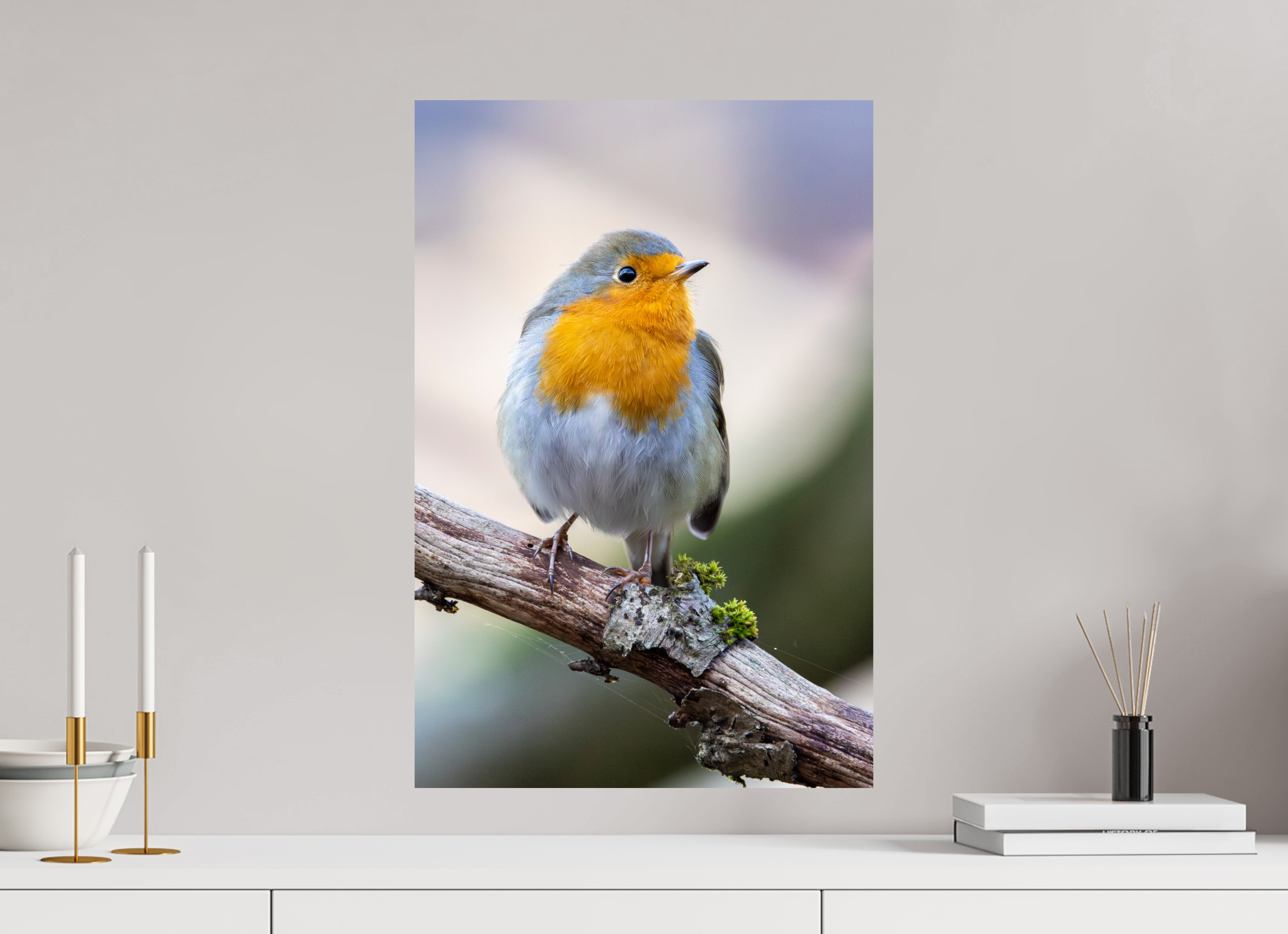 40 x 60 cm, Fine Art Print auf Alu-Dibond Perched in Light