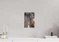 20 x 30 cm, Fine-Art Print Matt Soul of the Elephant
