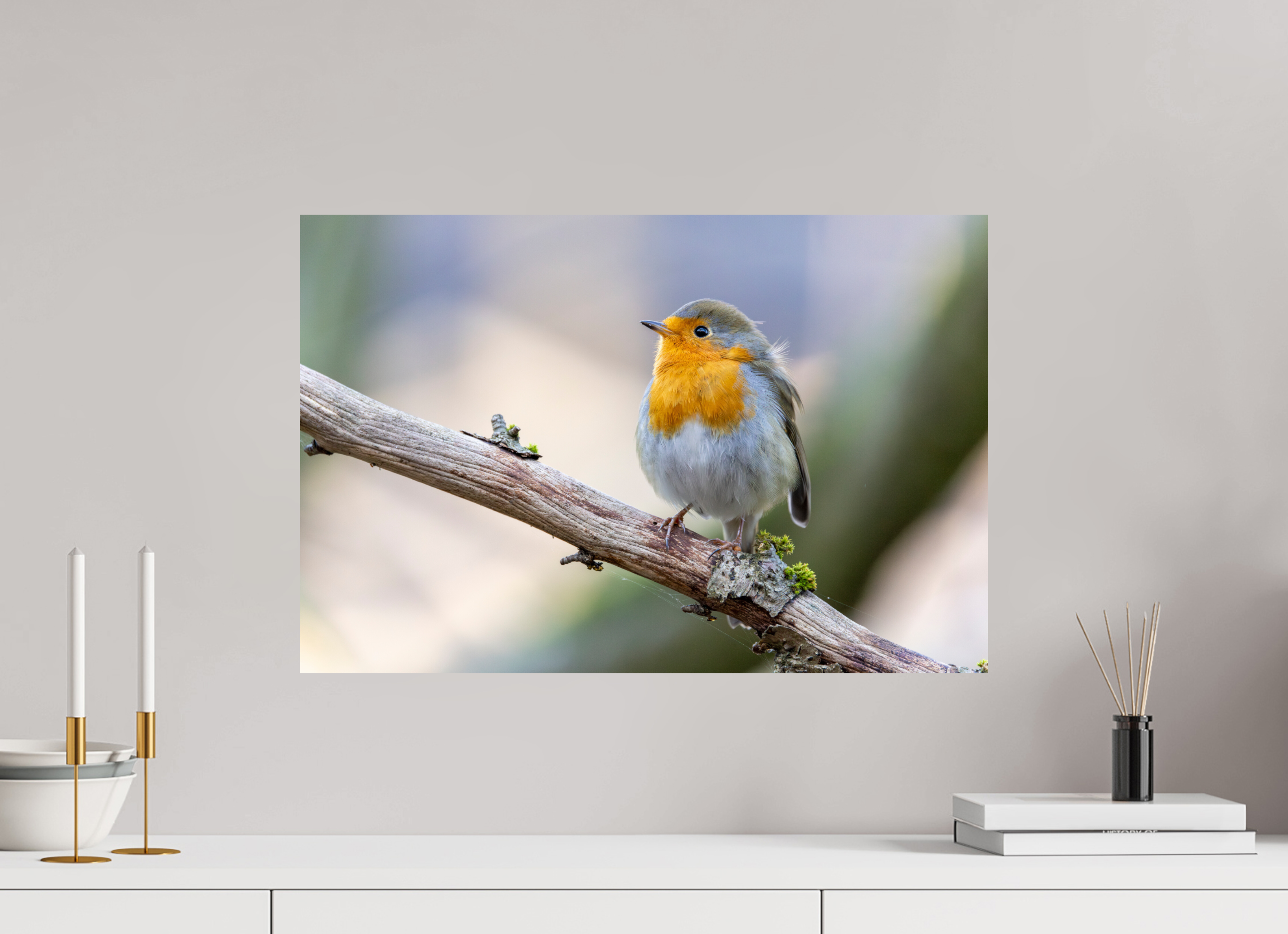 60 x 40 cm, Fine Art Print auf Alu-Dibond Gentle Watcher