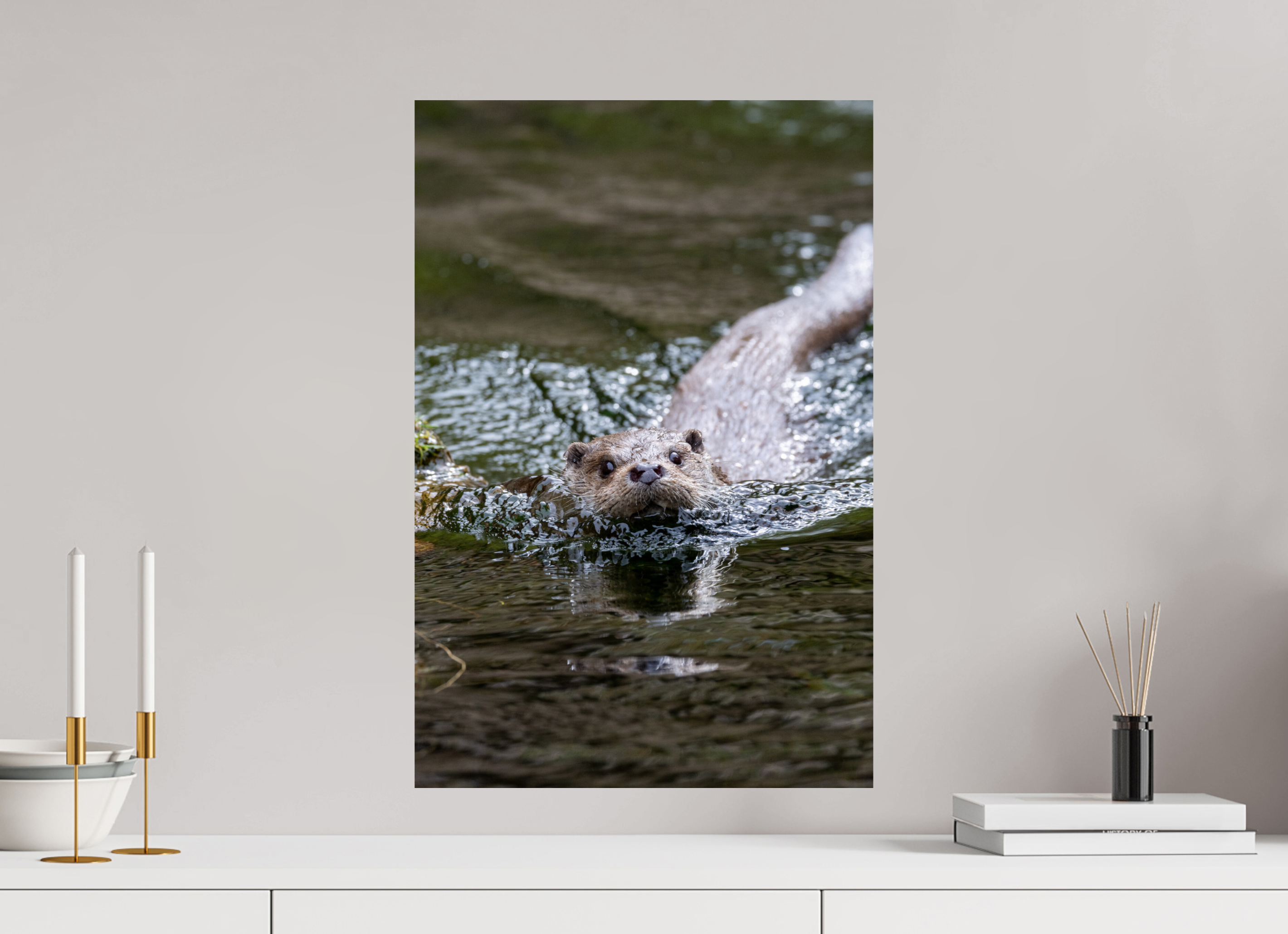 40 x 60 cm, Fine Art Print auf Alu-Dibond Curious Approach