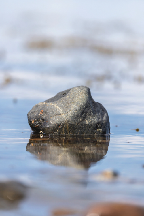 Main image Balance