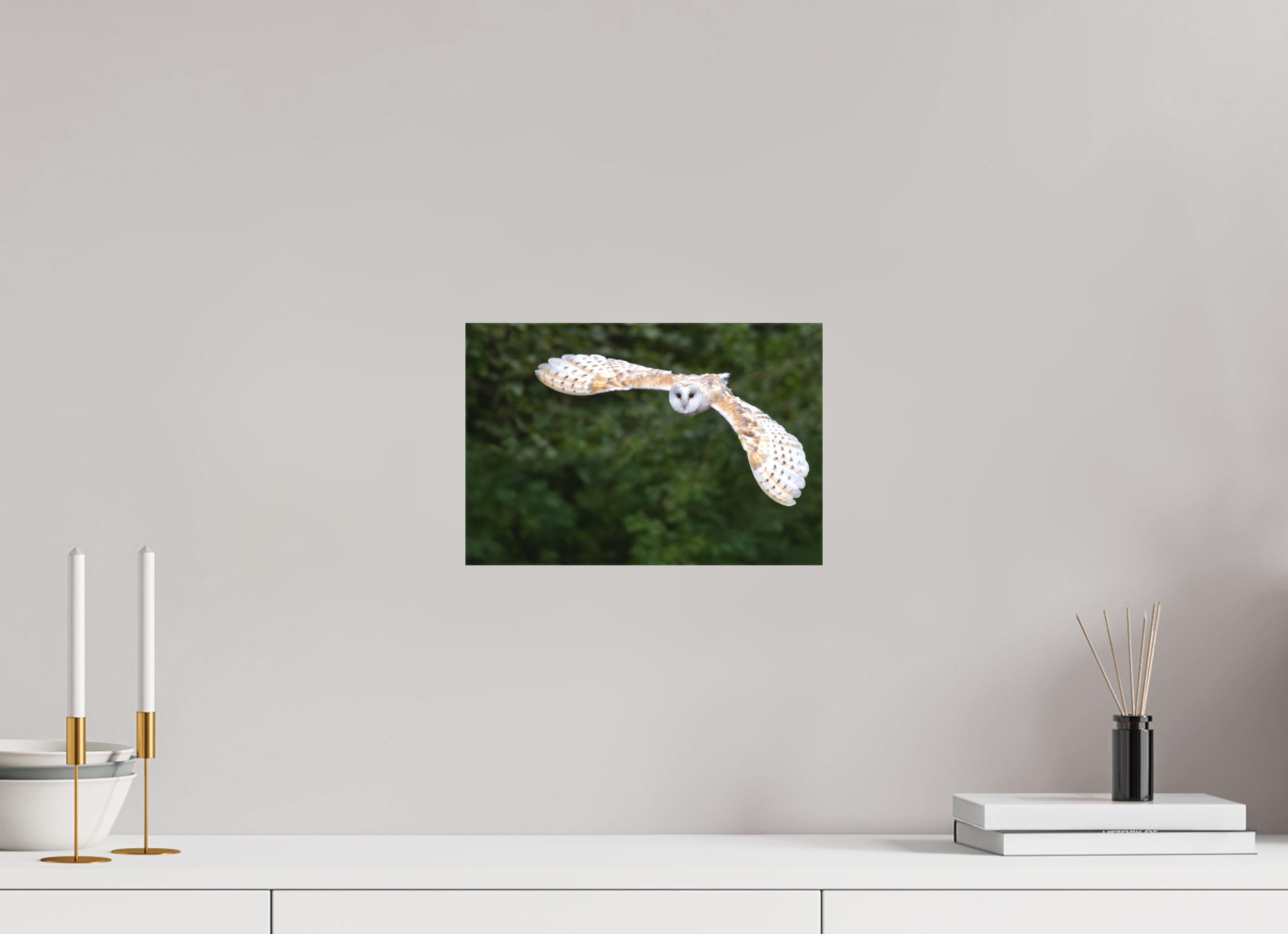 30 x 20 cm, Leinwand Silent Flight