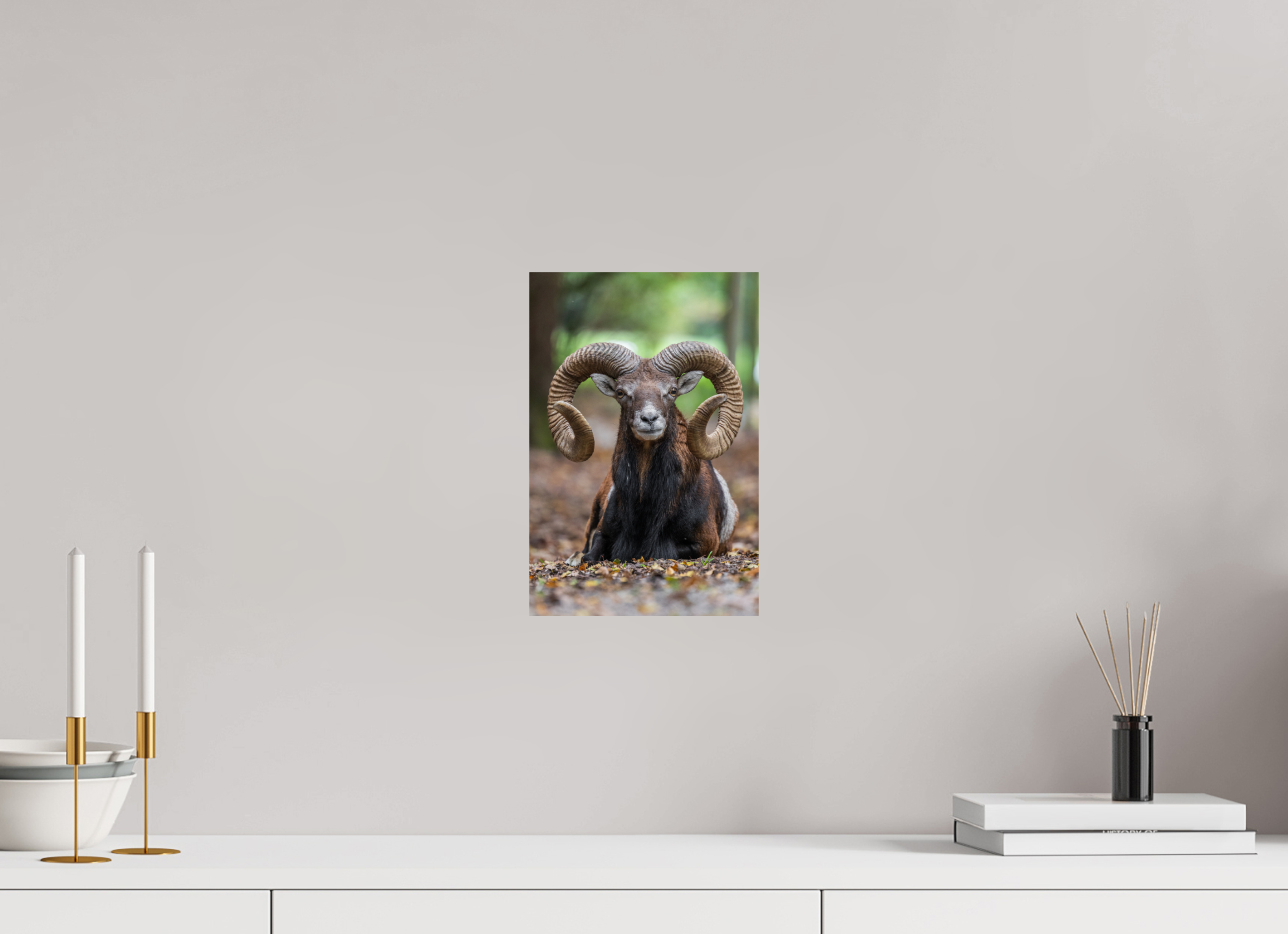 20 x 30 cm, Fine Art Print auf Alu-Dibond Majestic Rest