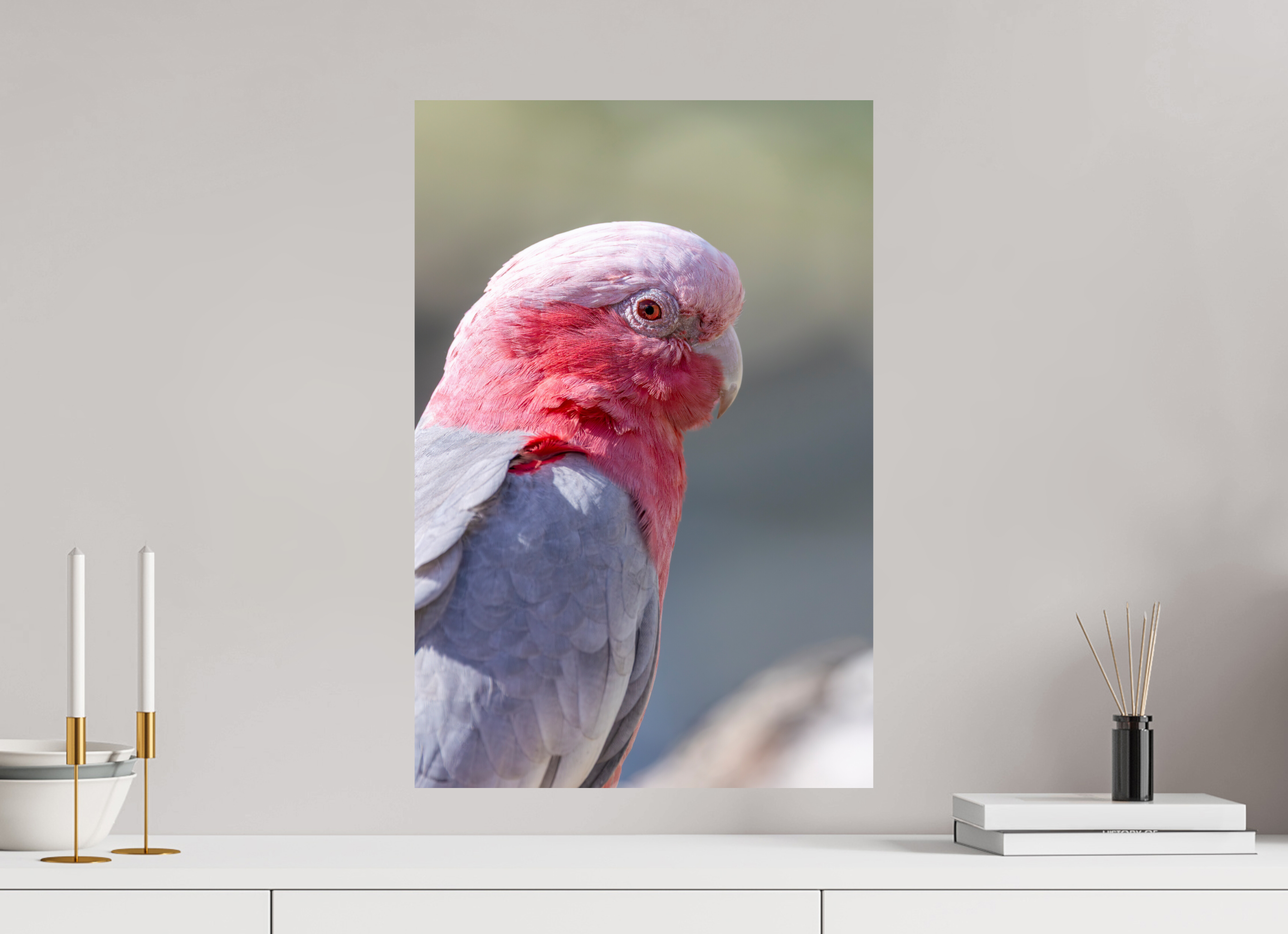 40 x 60 cm, Fine Art Print auf Alu-Dibond Pink Elegance