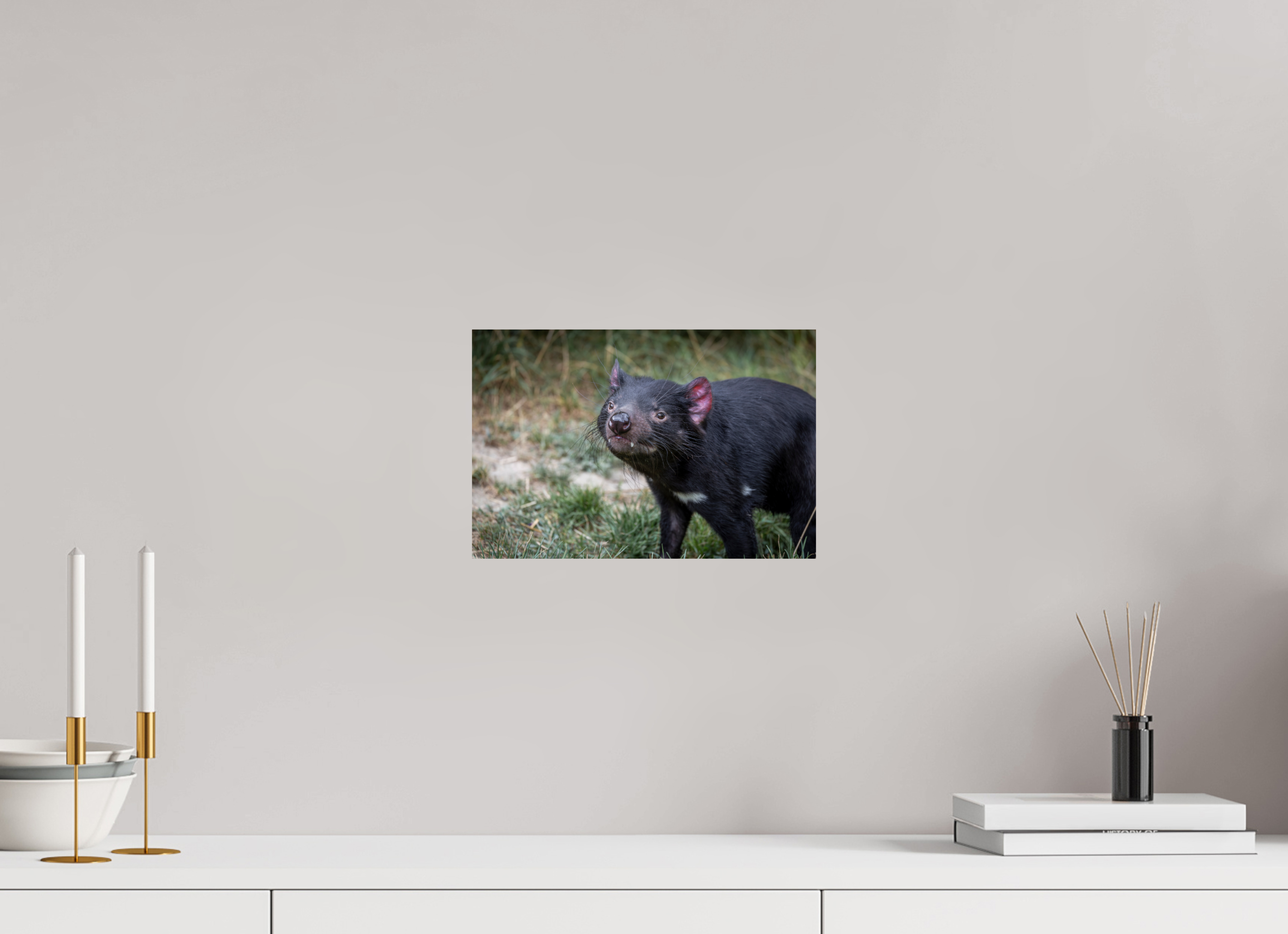 30 x 20 cm, Fine Art Print auf Alu-Dibond Friendly Devil