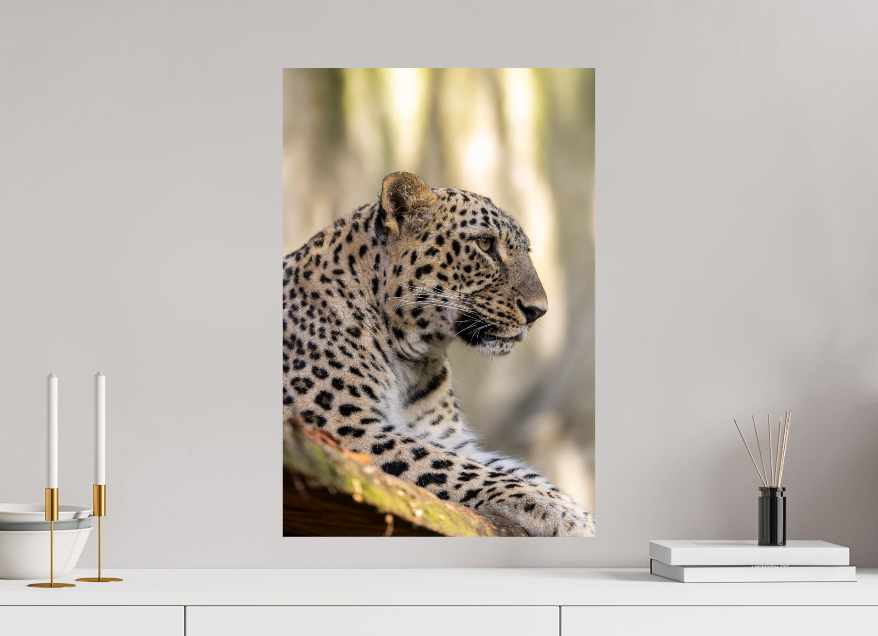 40 x 60 cm, Fine Art Print auf Alu-Dibond Silent Watch