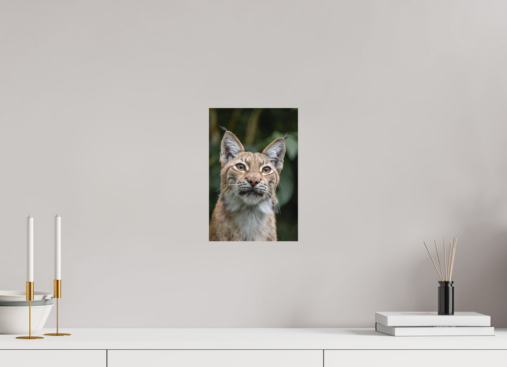 20 x 30 cm, Fine-Art Print Matt Forest Eyes