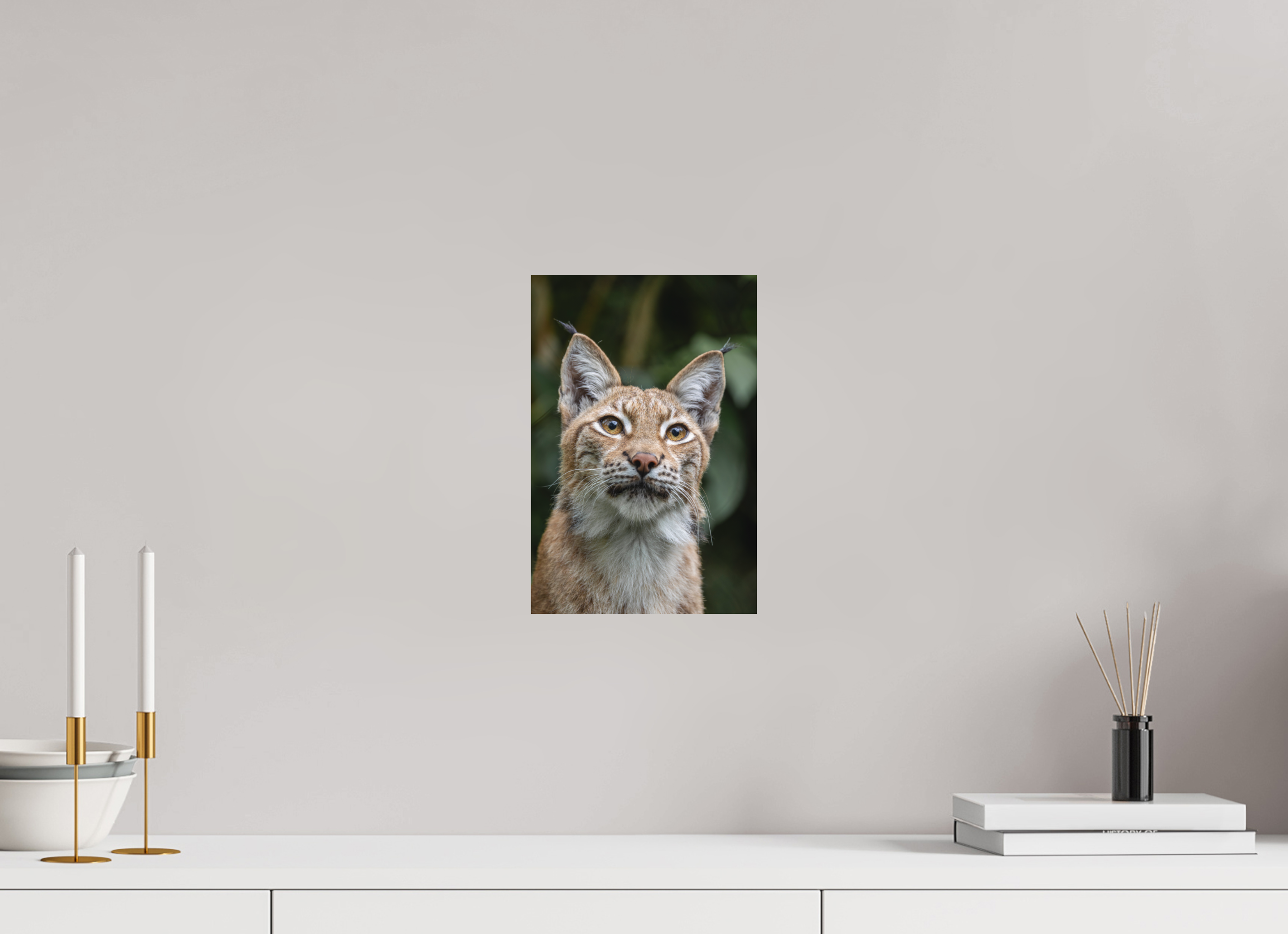 20 x 30 cm, Fine-Art Print Matt Forest Eyes