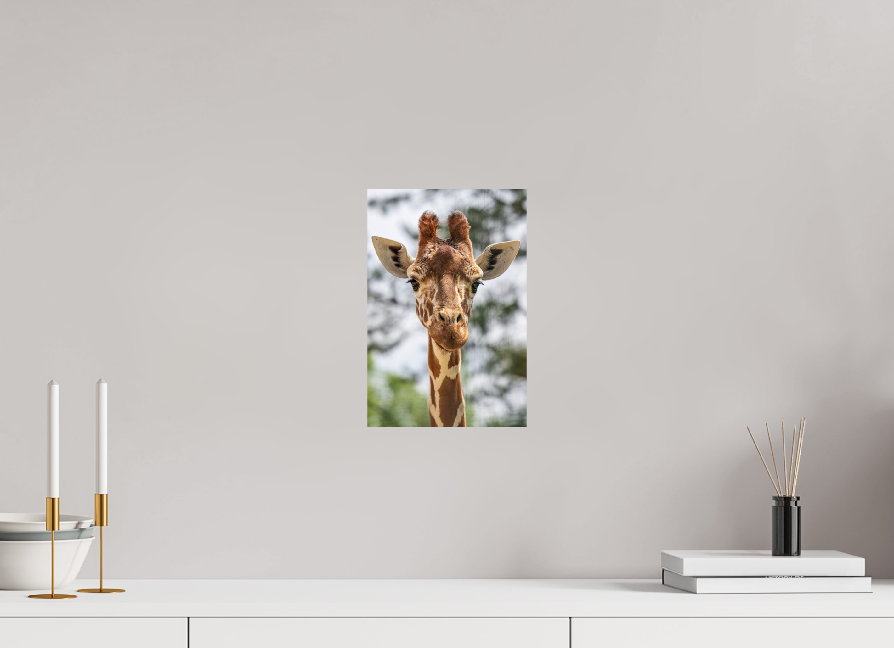 20 x 30 cm, Fine Art Print auf Alu-Dibond Savanna Soul