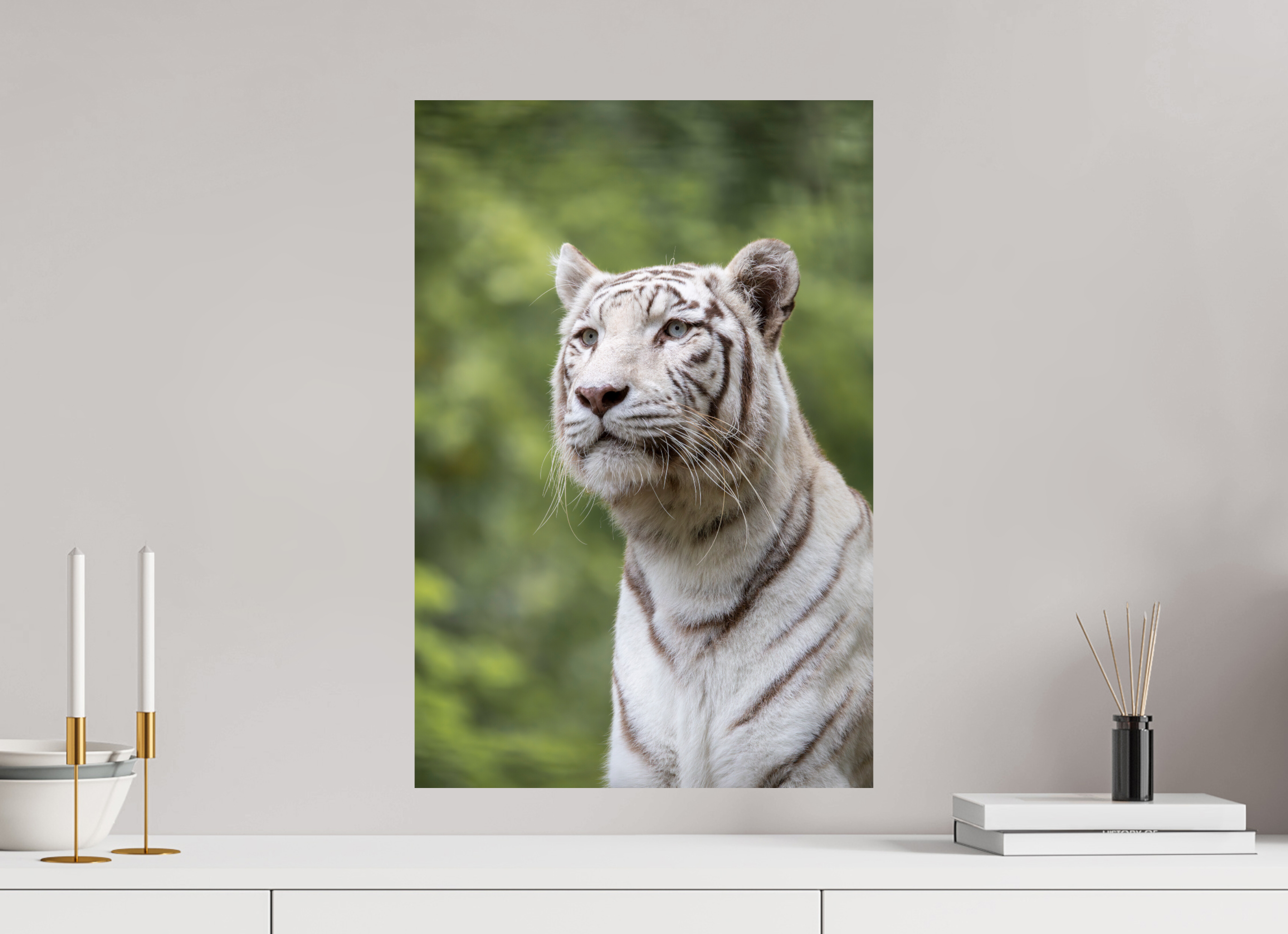 40 x 60 cm, Fine Art Print auf Alu-Dibond Gaze of the White King