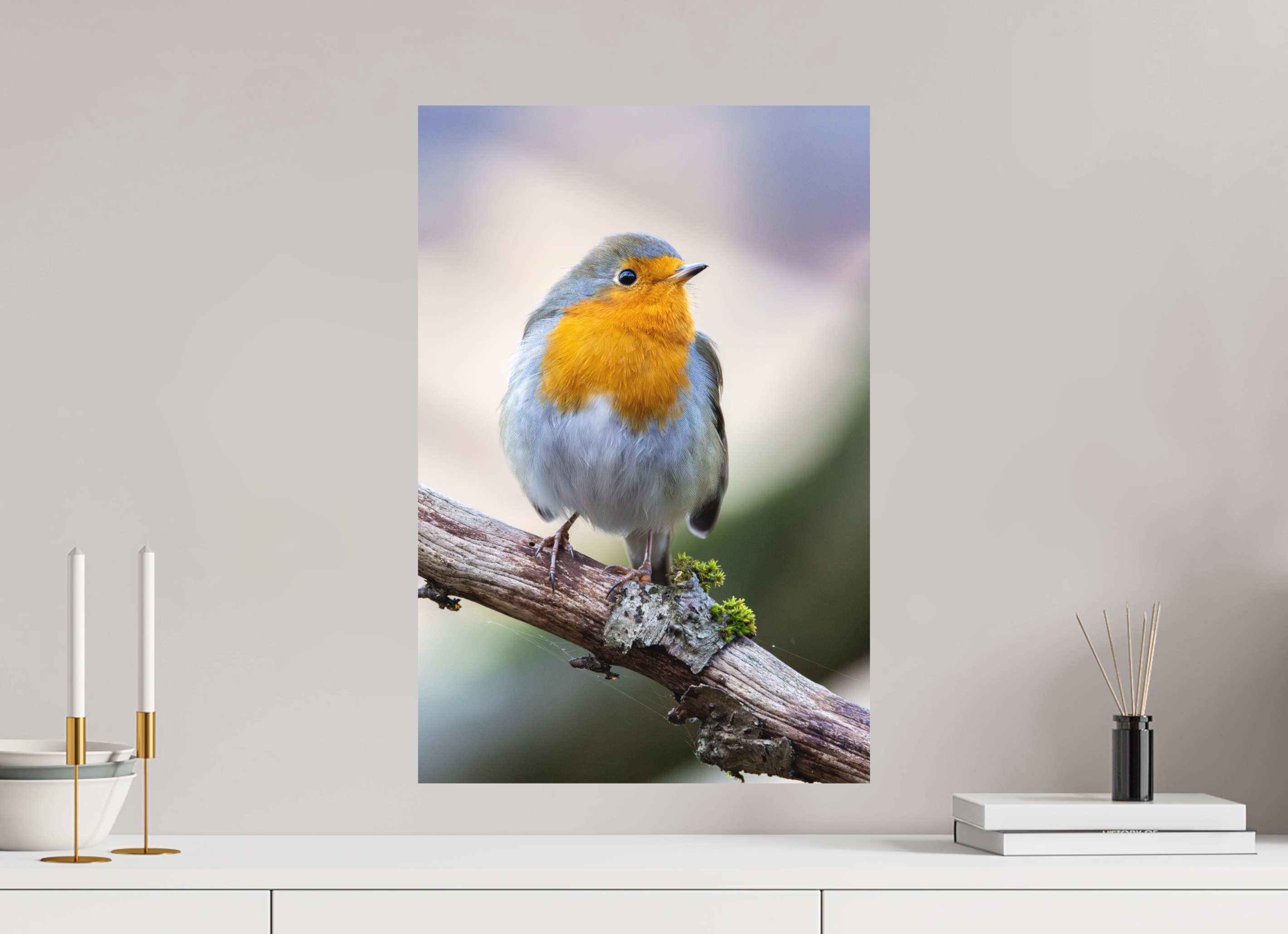 40 x 60 cm, Fine-Art Matt Perched in Light