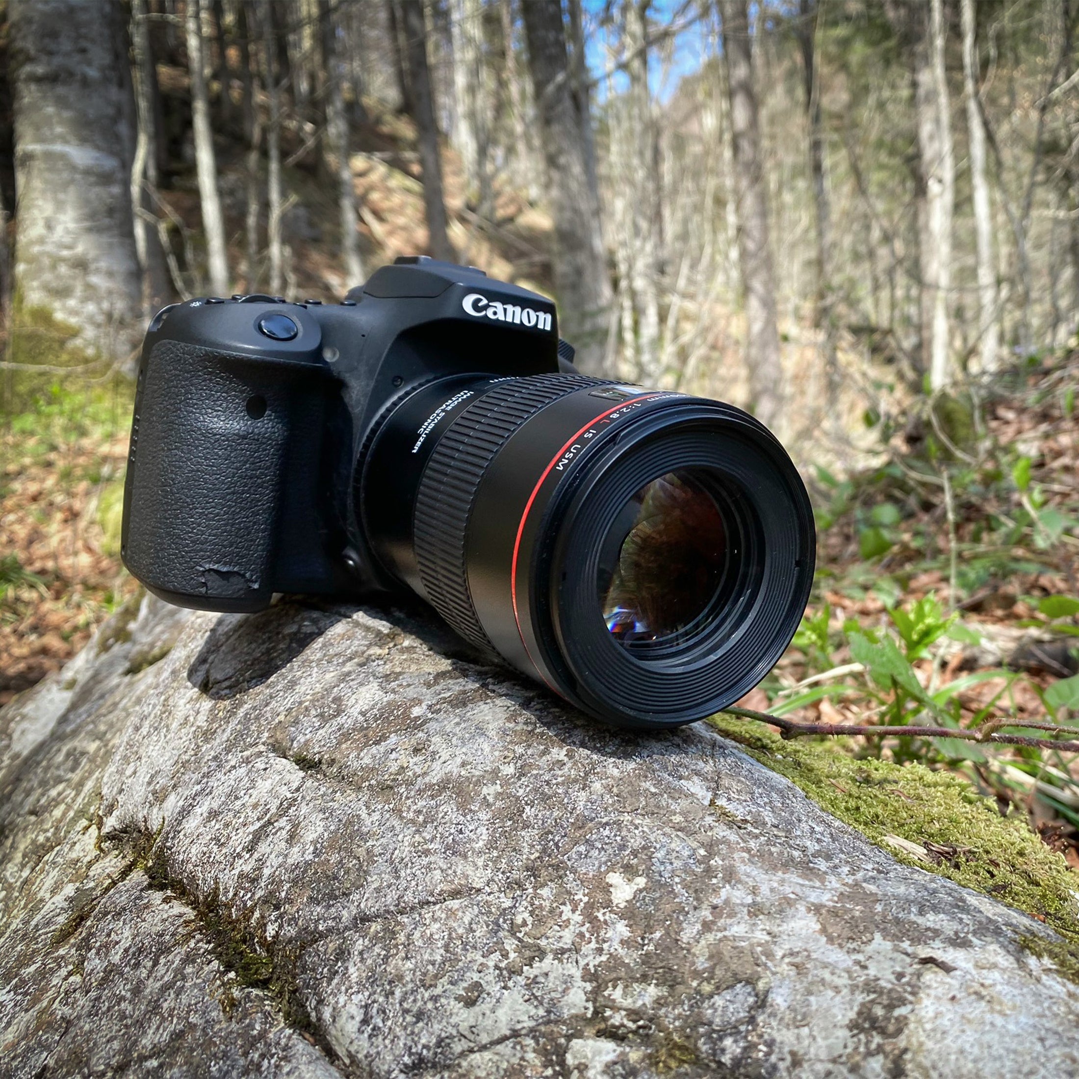 Canon Kamera auf Stein im Wald