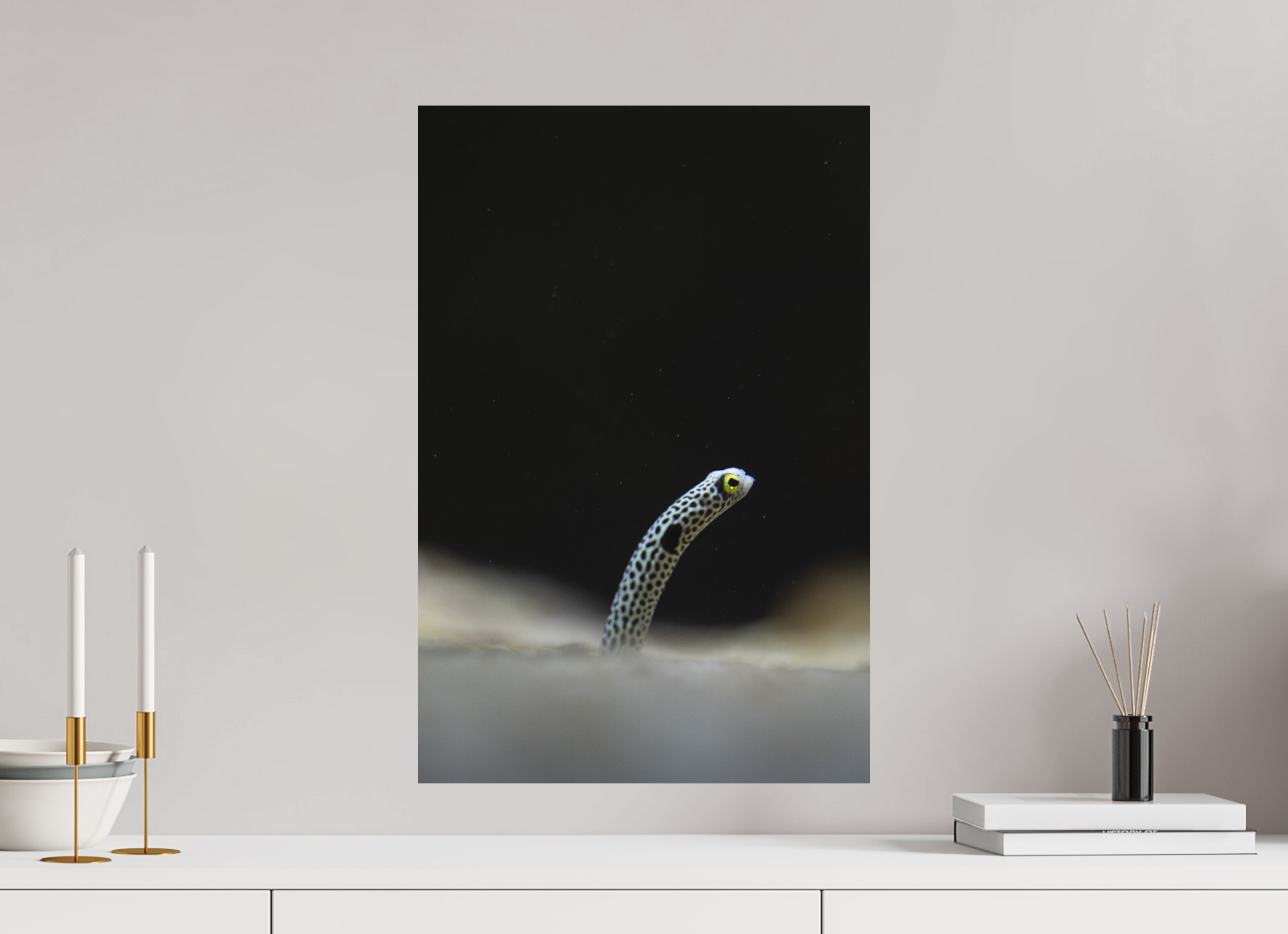 40 x 60 cm, Fine-Art Print Matt Eyes in the Sand