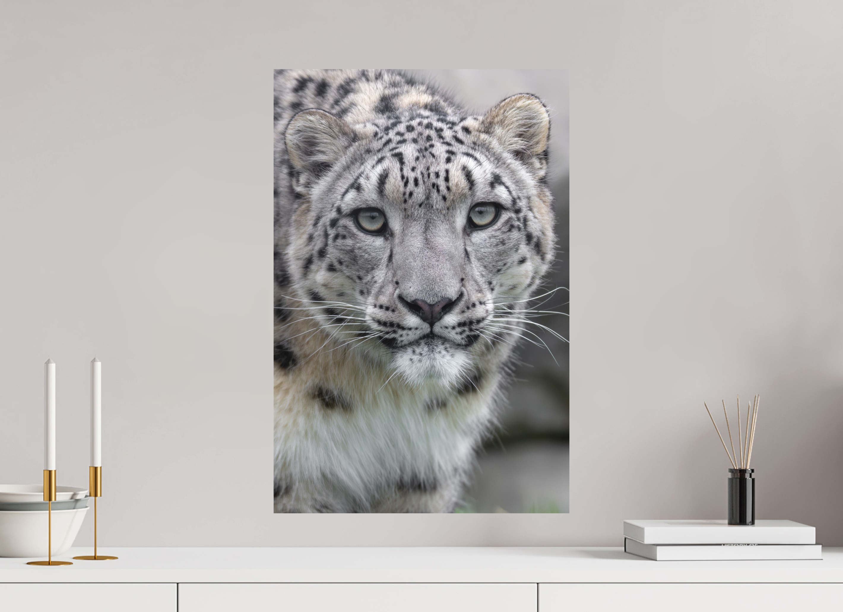 40 x 60 cm, Fine-Art Print Matt Gentle Curiosity