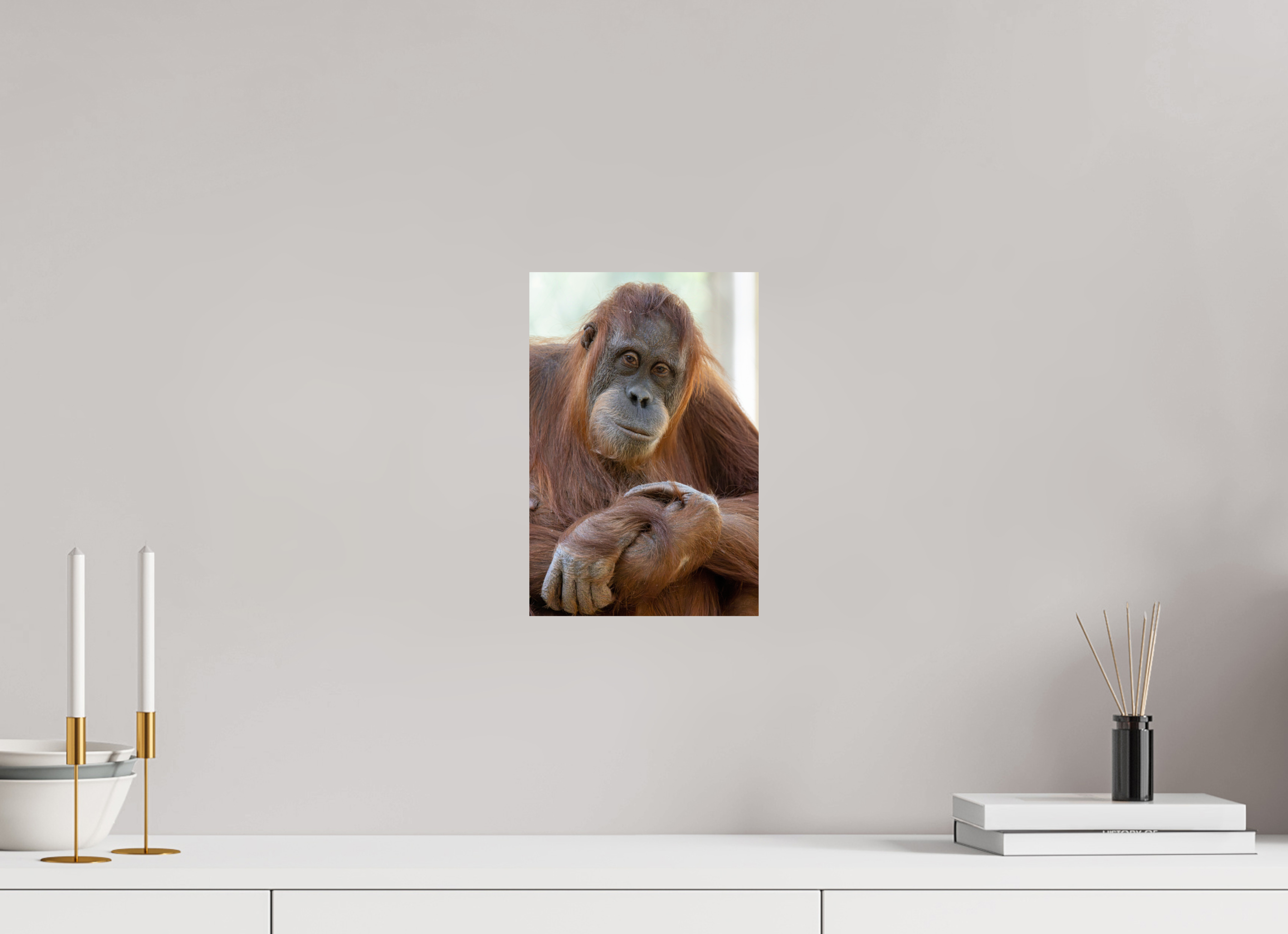 20 x 30 cm, Fine Art Print auf Alu-Dibond Soulful Gaze